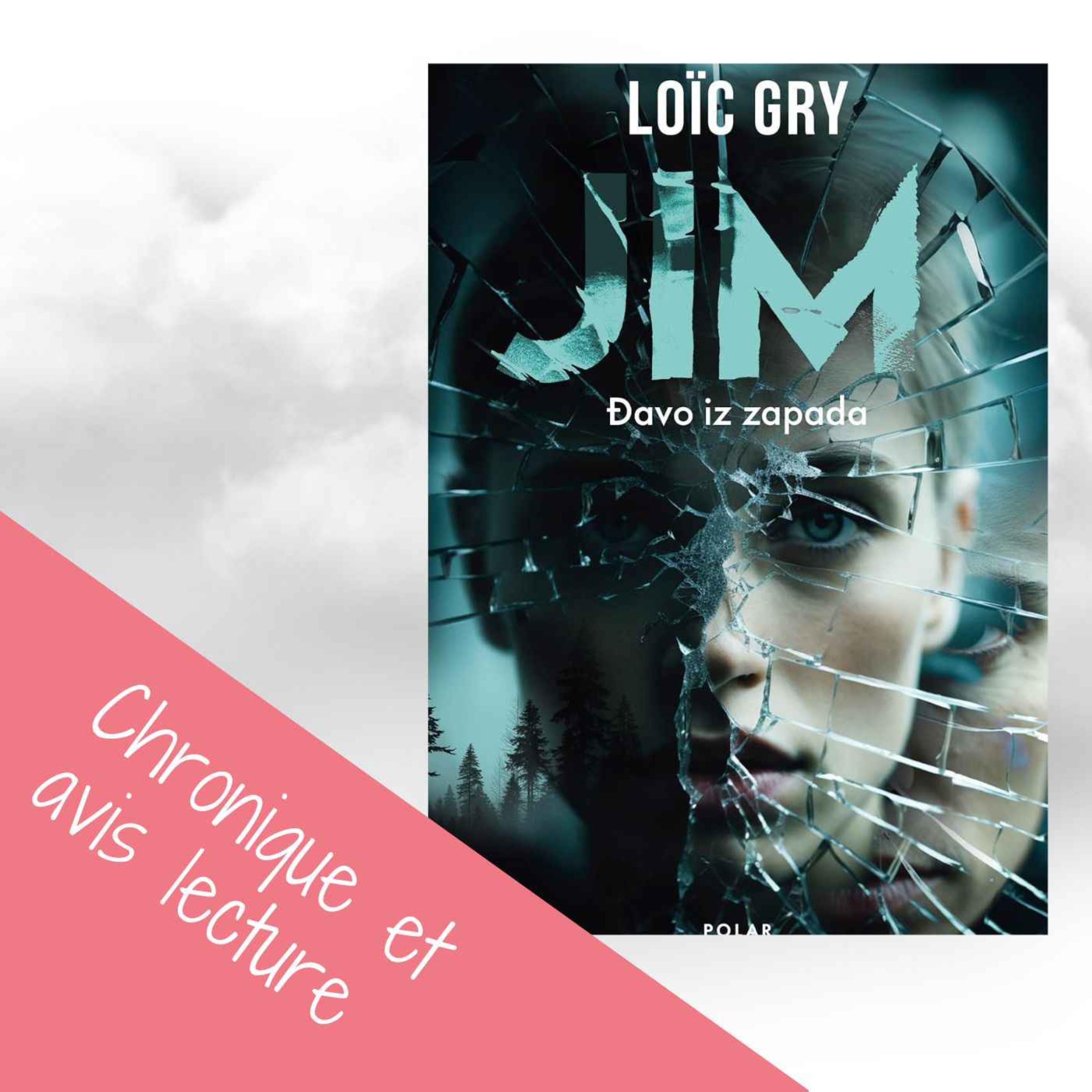 cover art for Loïc GRY : JIM – Davo iz zapada
