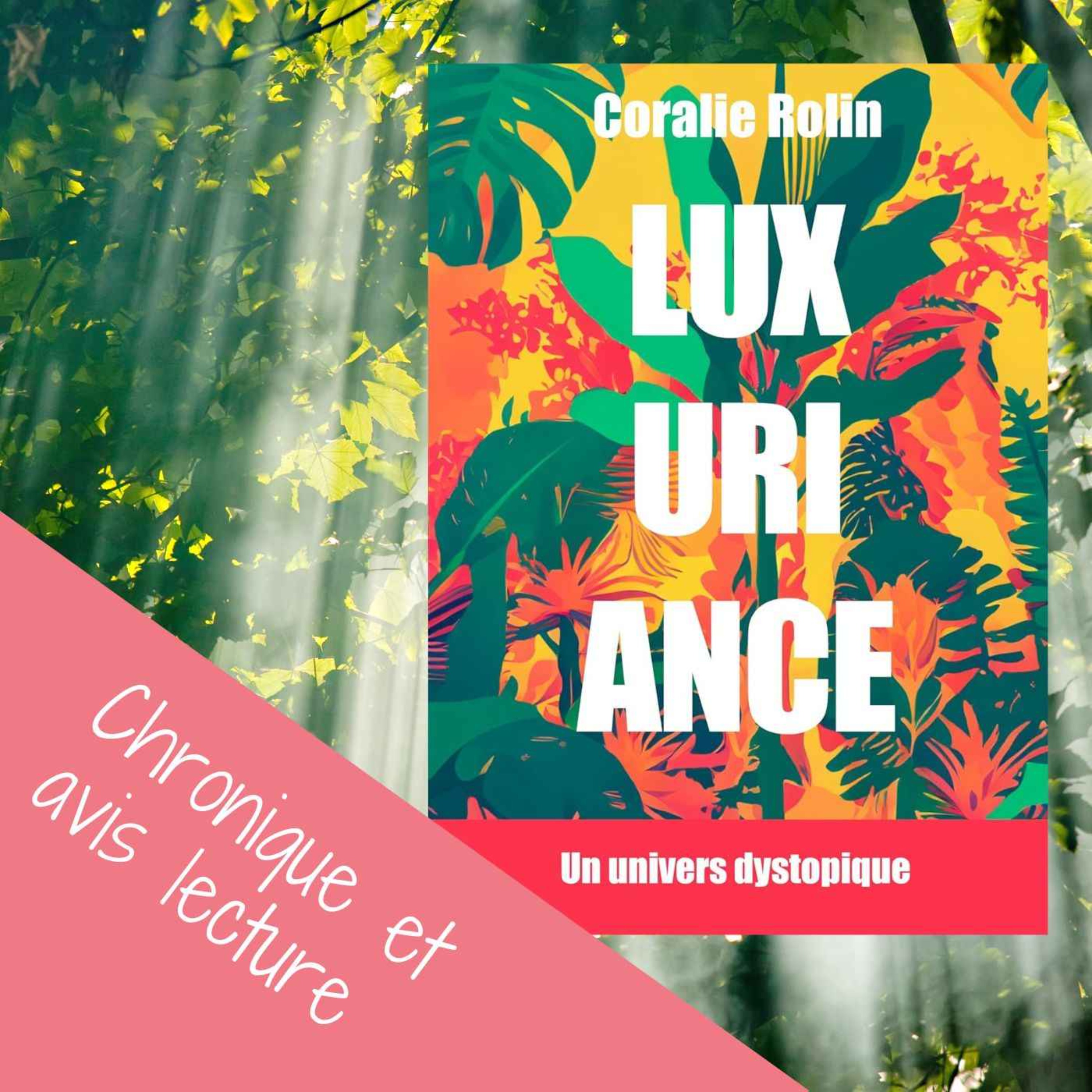 Mes coups de cœurs littéraires