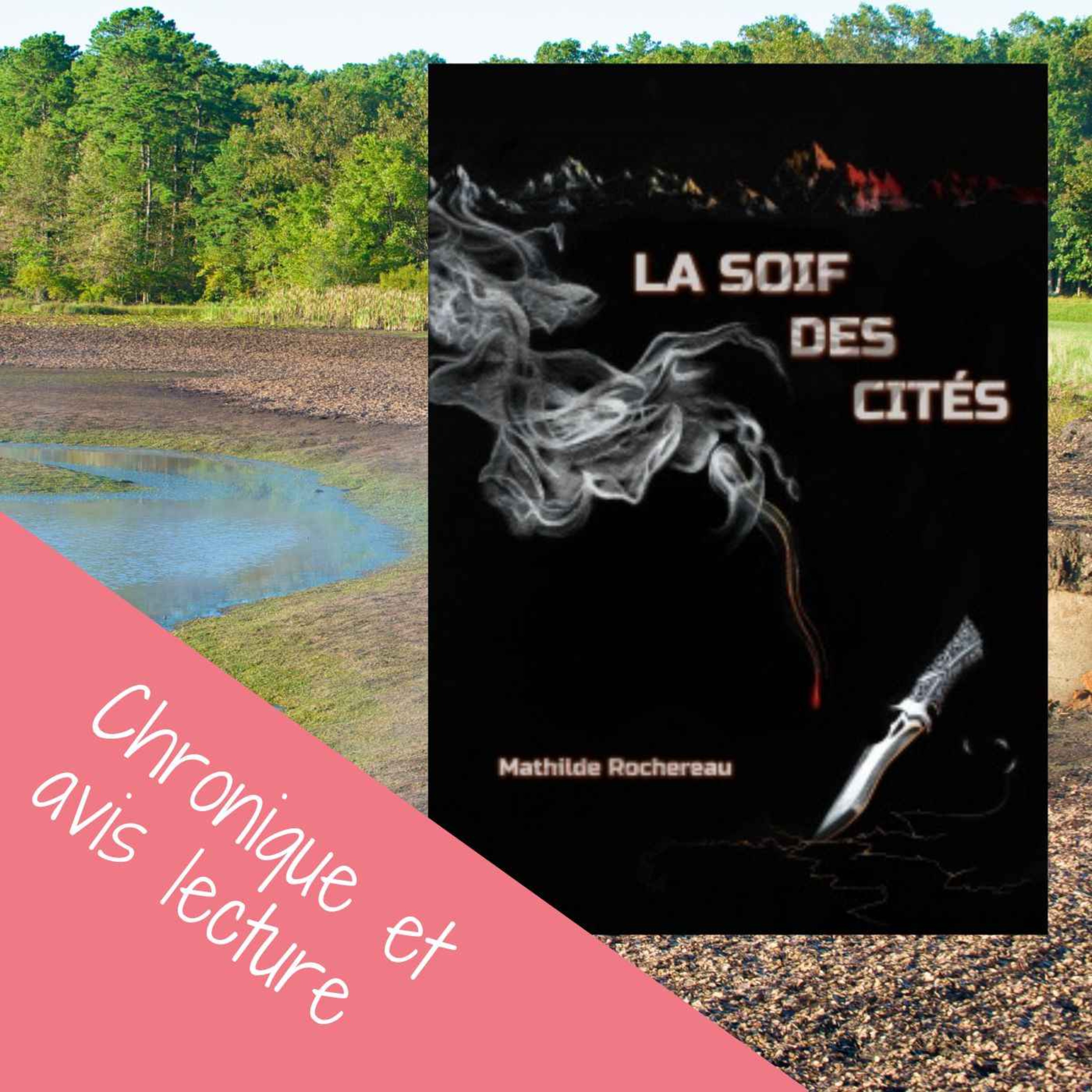 Mes coups de cœurs littéraires