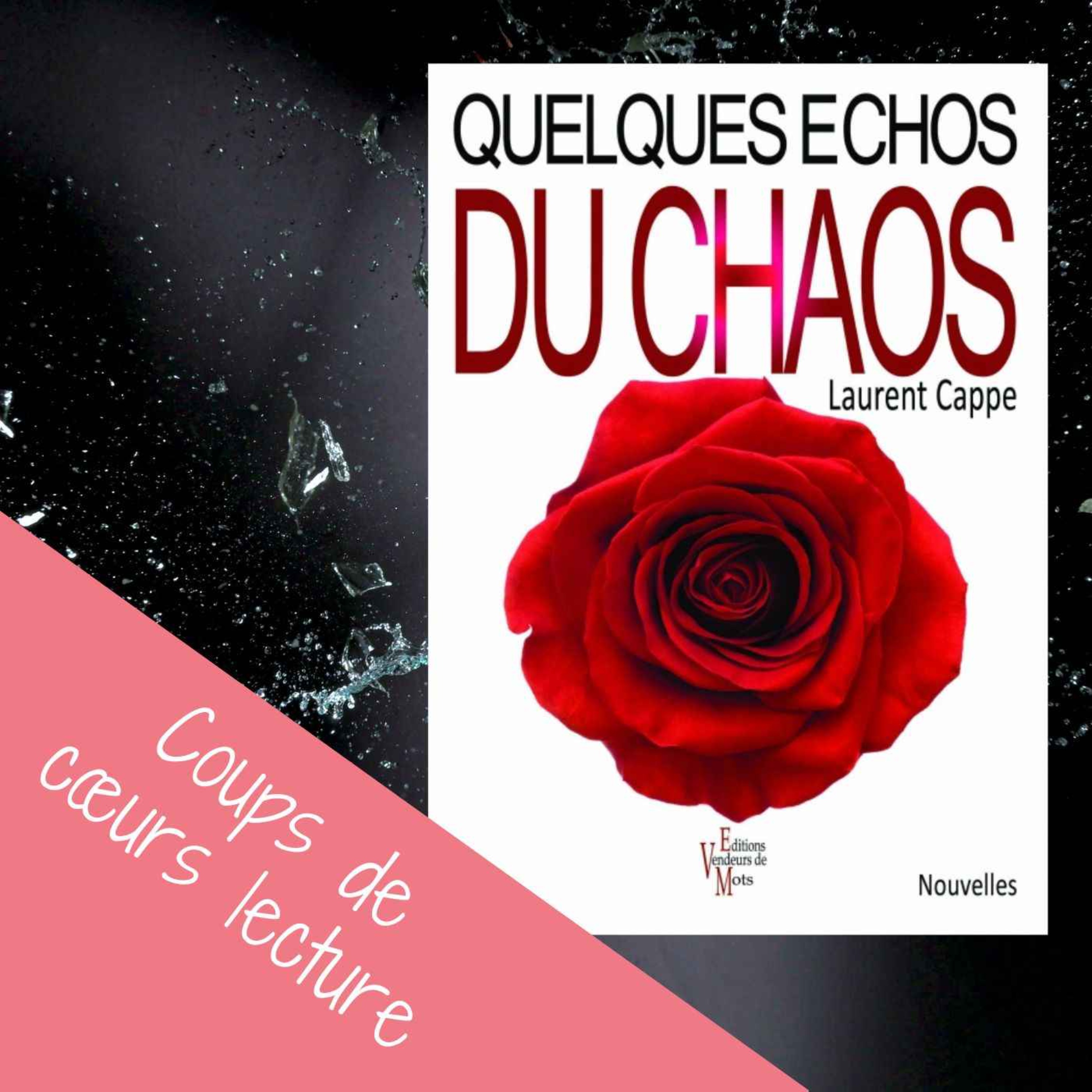 Mes coups de cœurs littéraires