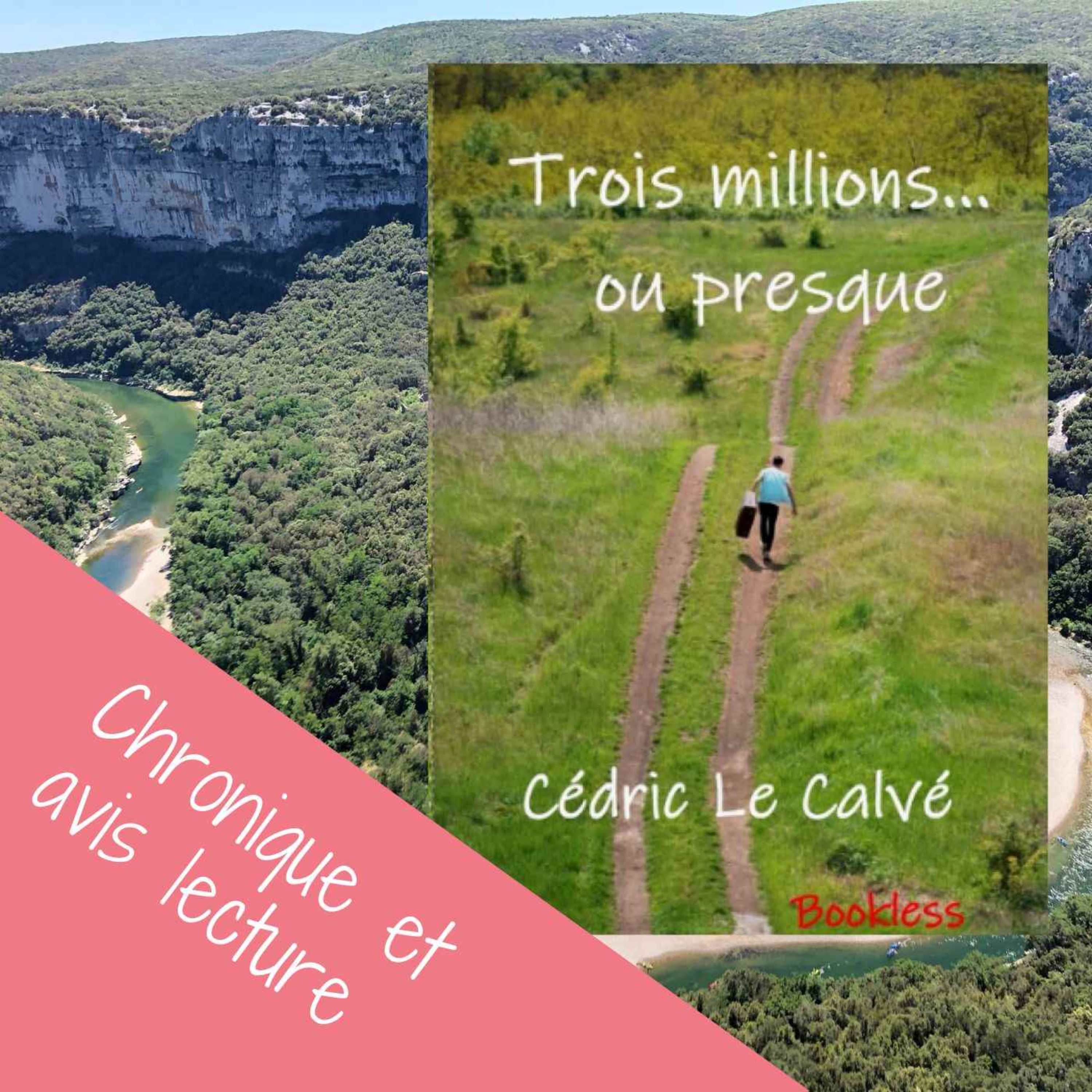 Mes coups de cœurs littéraires