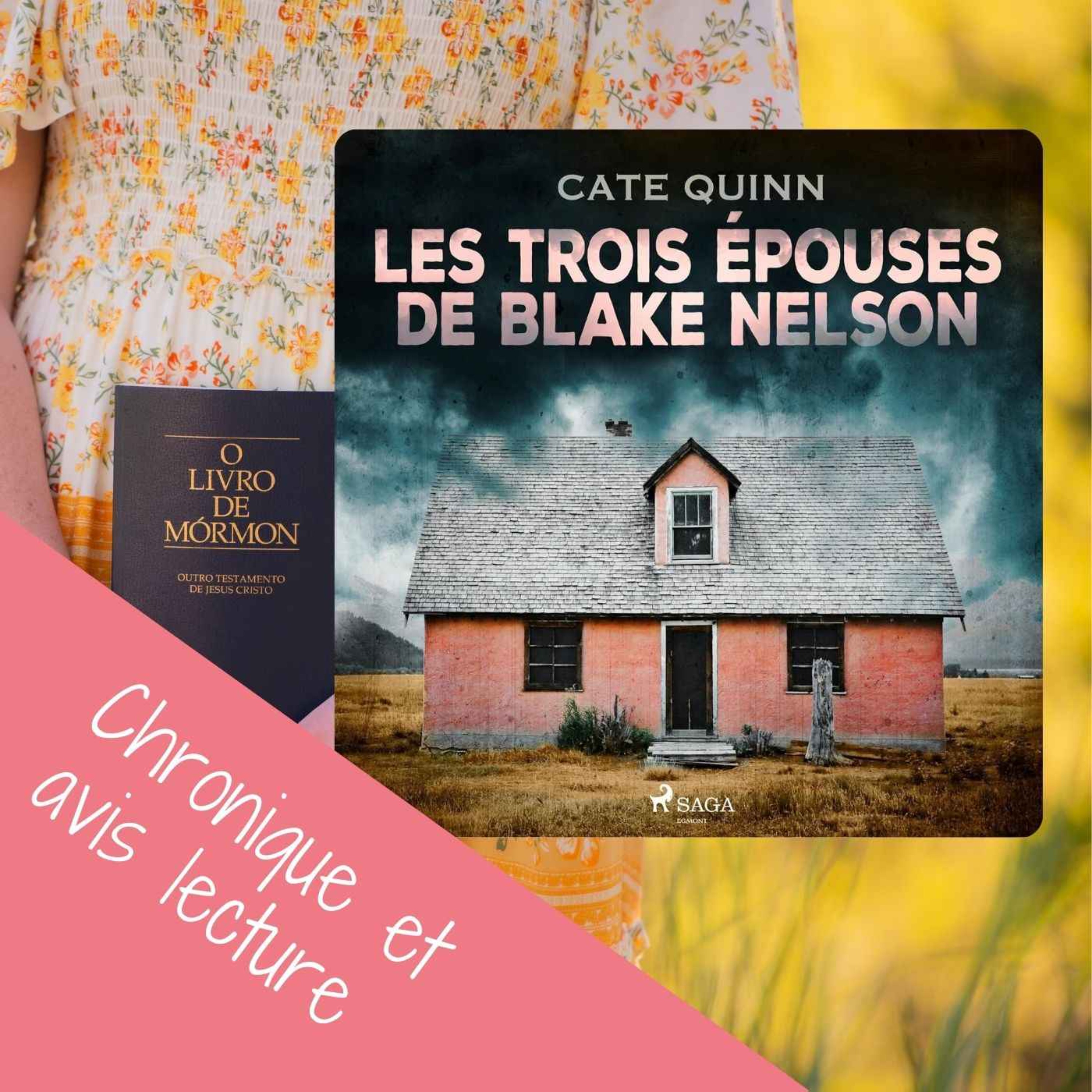 Mes coups de cœurs littéraires