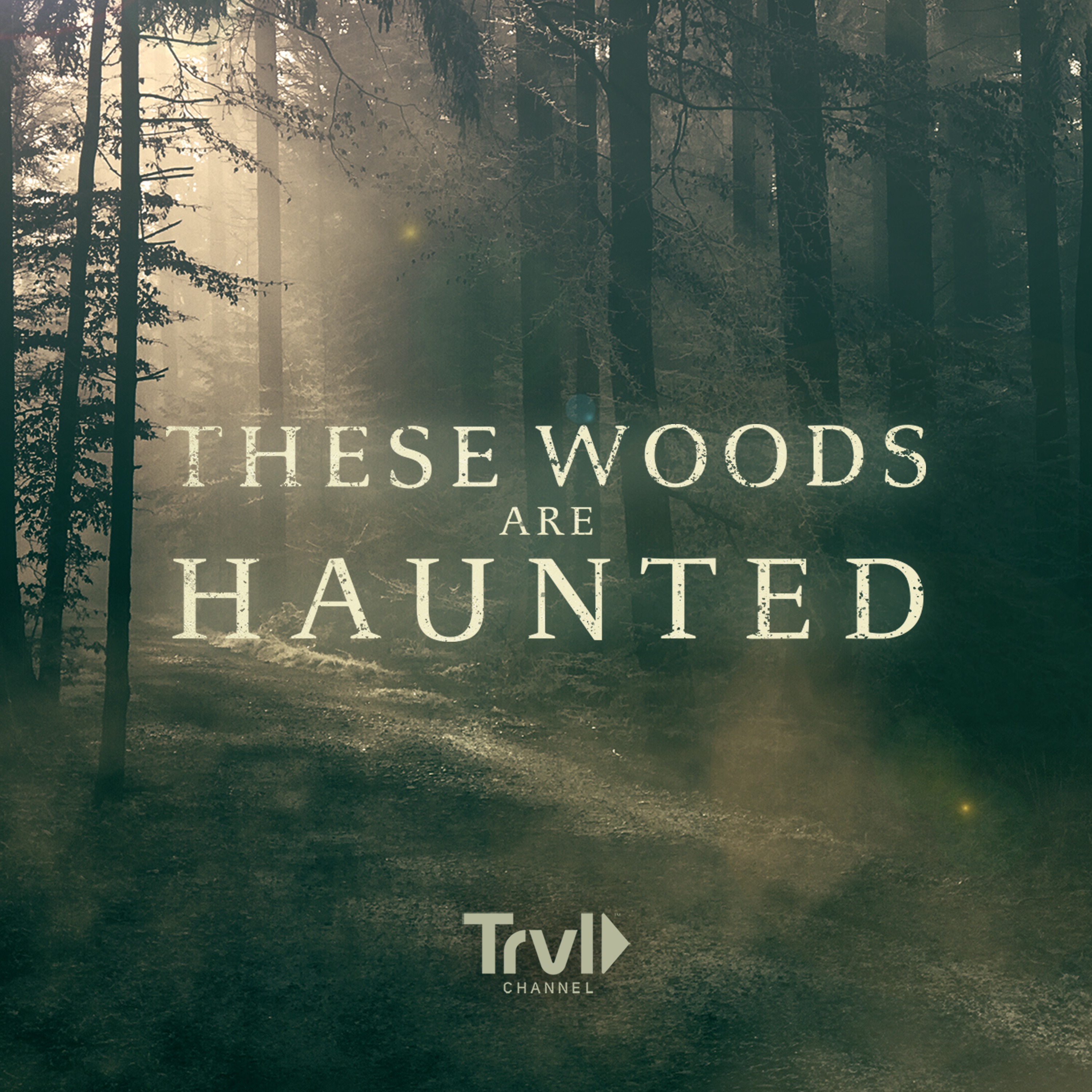 What to Listen to Next: These Woods Are Haunted