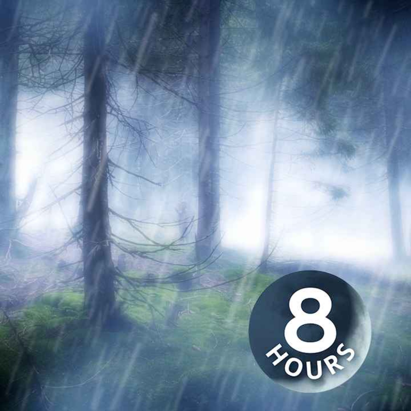 cover art for Sonido de lluvia en el bosque para dormir (8 horas)