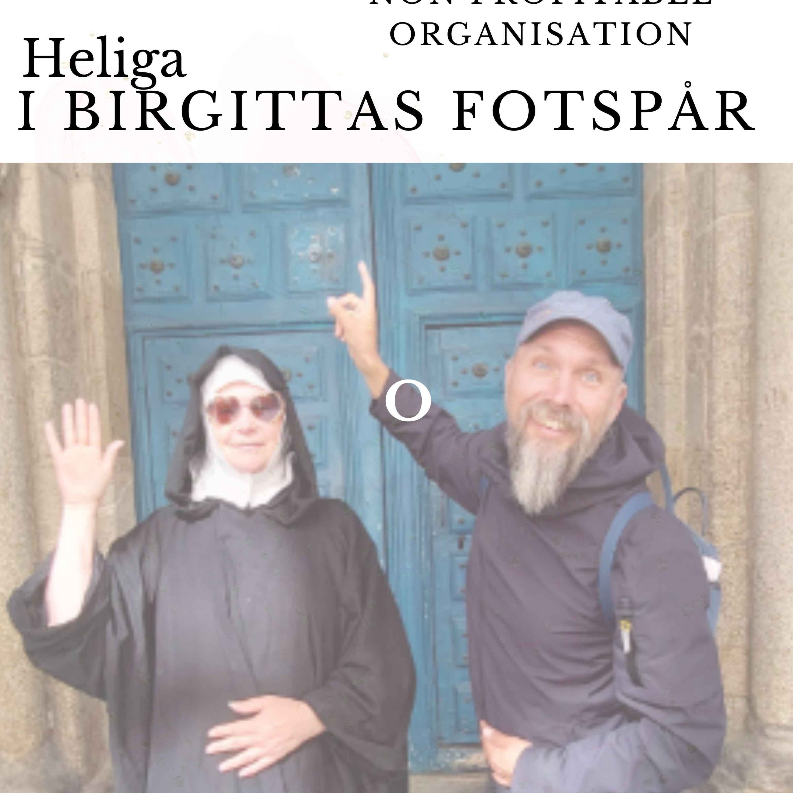 cover art for #1, # I Heliga Birgittas fotspår