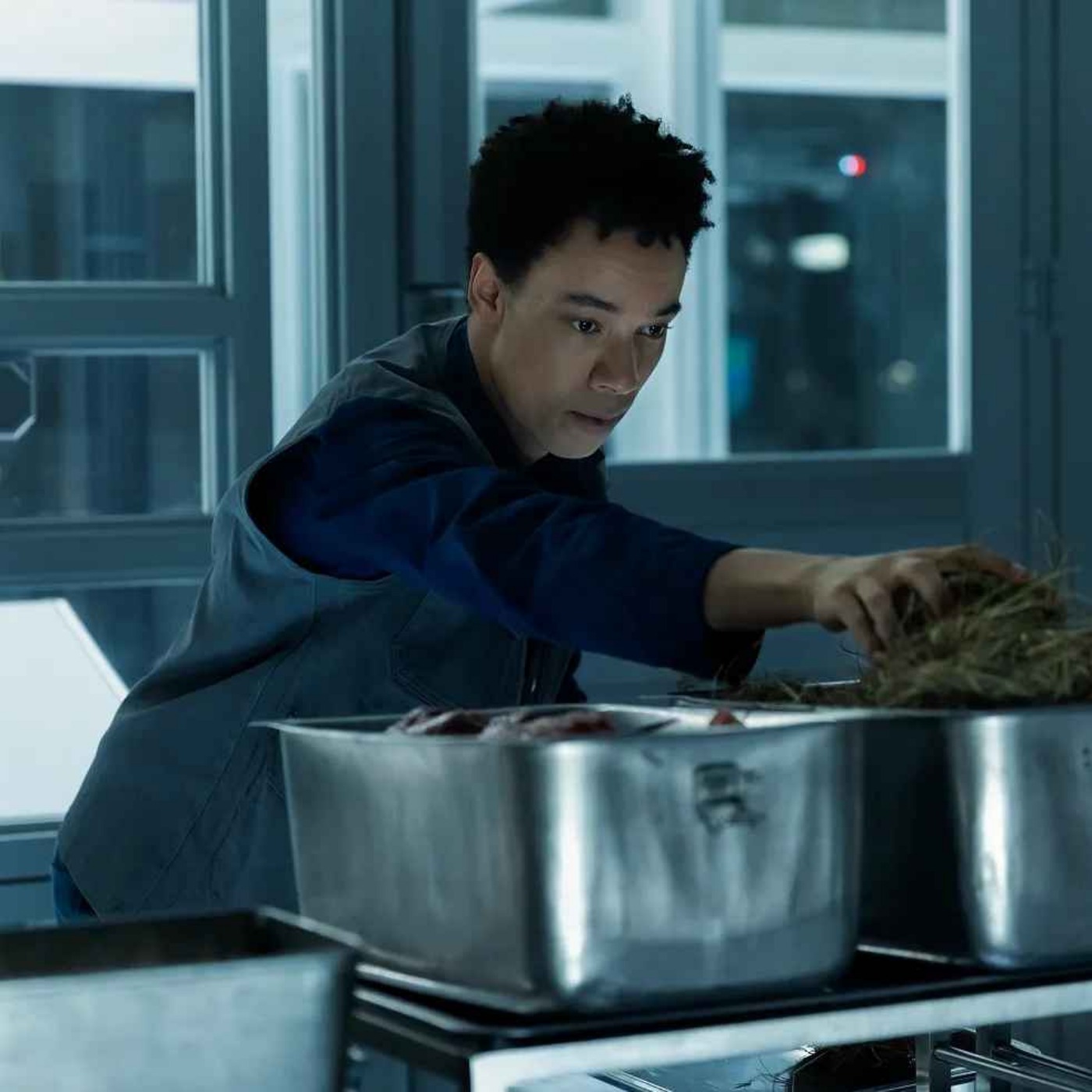 Ep. 81 - The Future Where Movies Are Just Disneys (Plus: Breaking Down The Latest 'Alien: Earth' and 'Peacemaker')