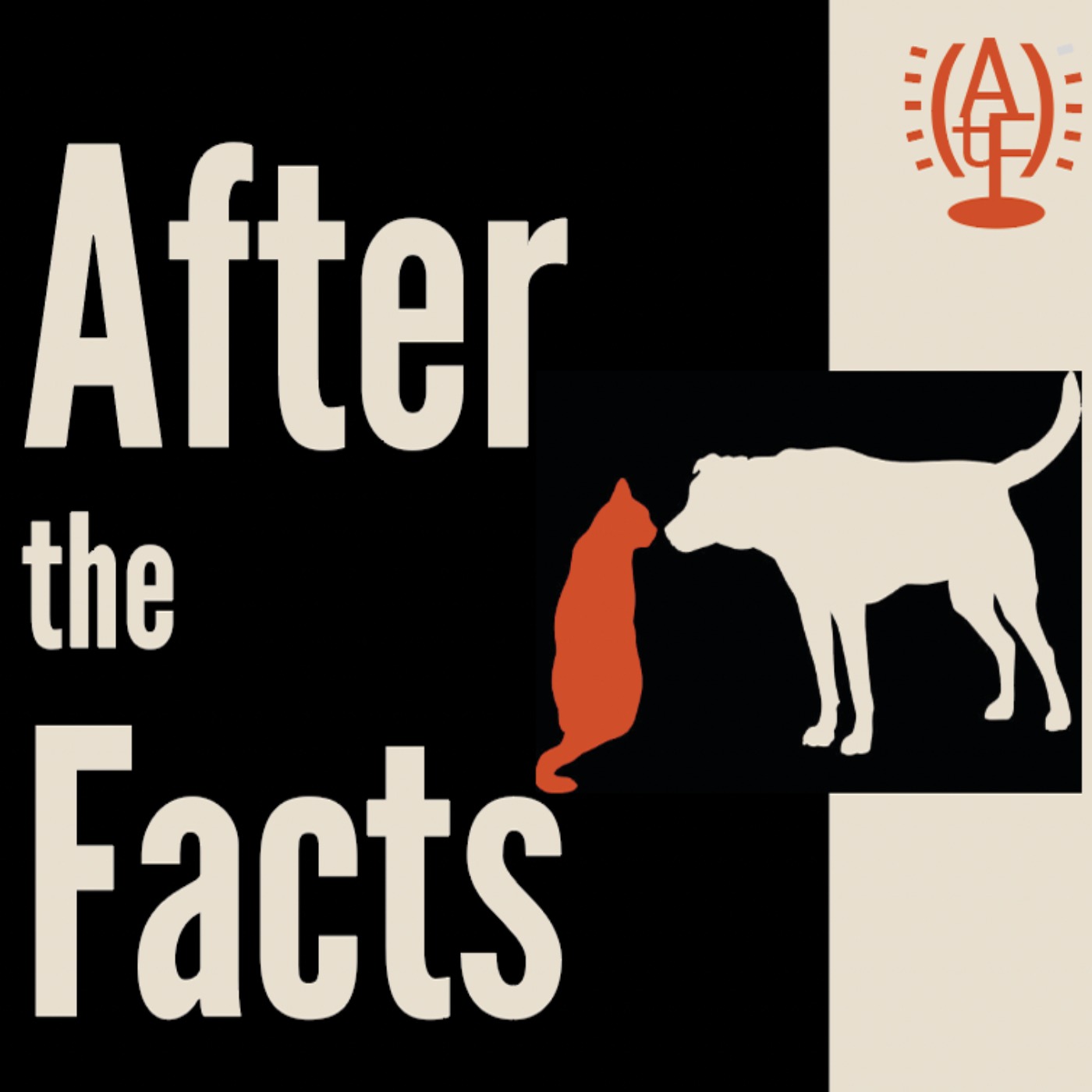 After the Facts - podcast cover