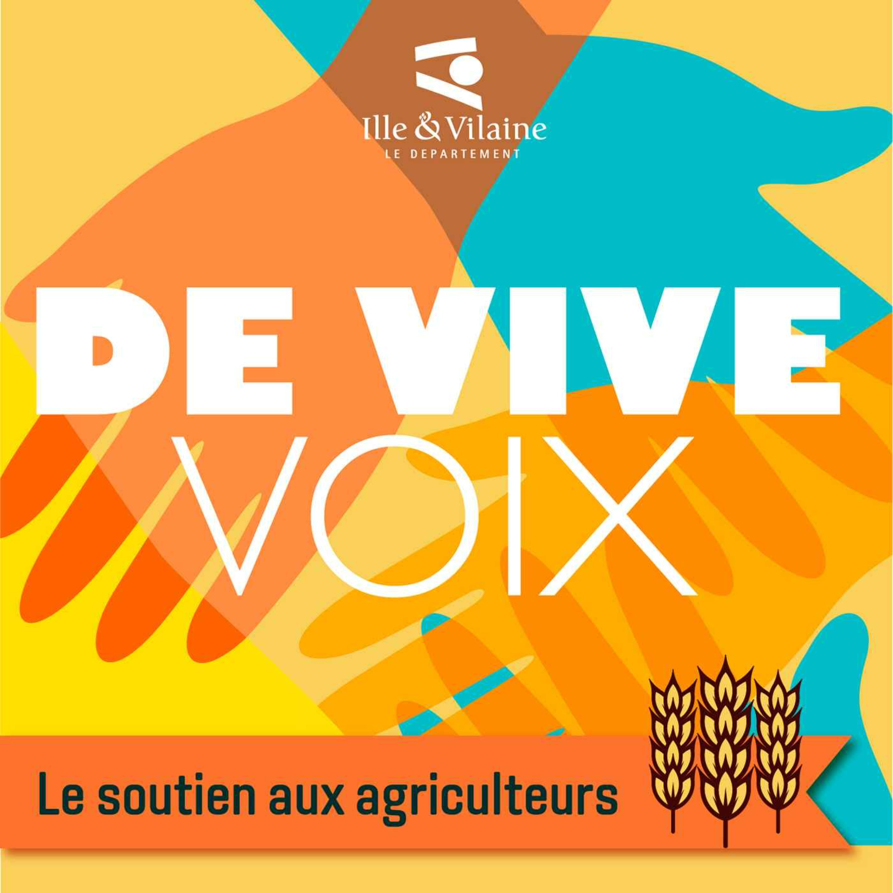cover art for De vive voix : la solidarité, ça se cultive !