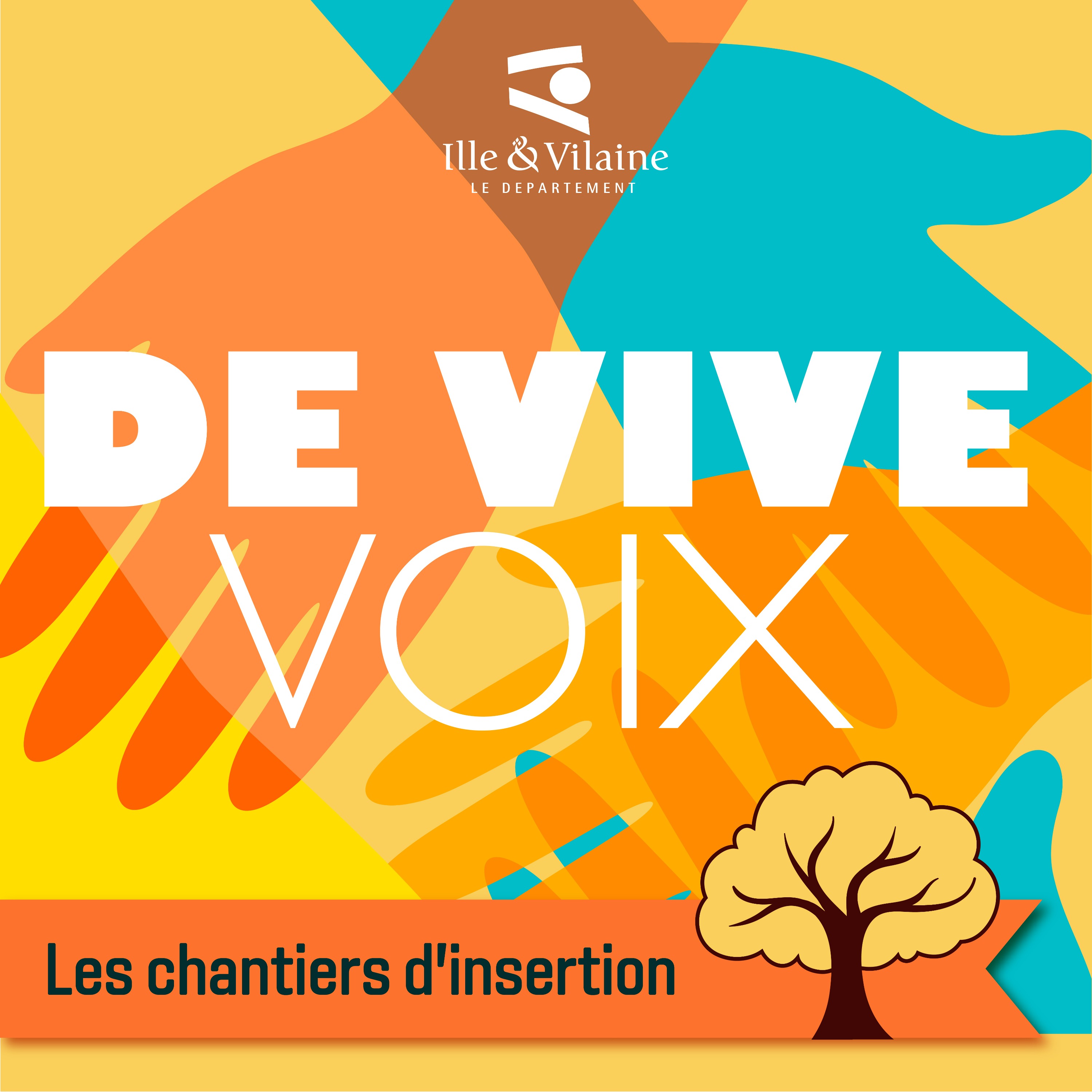 cover art for De vive voix : les chantiers d'insertion, solidaires par nature