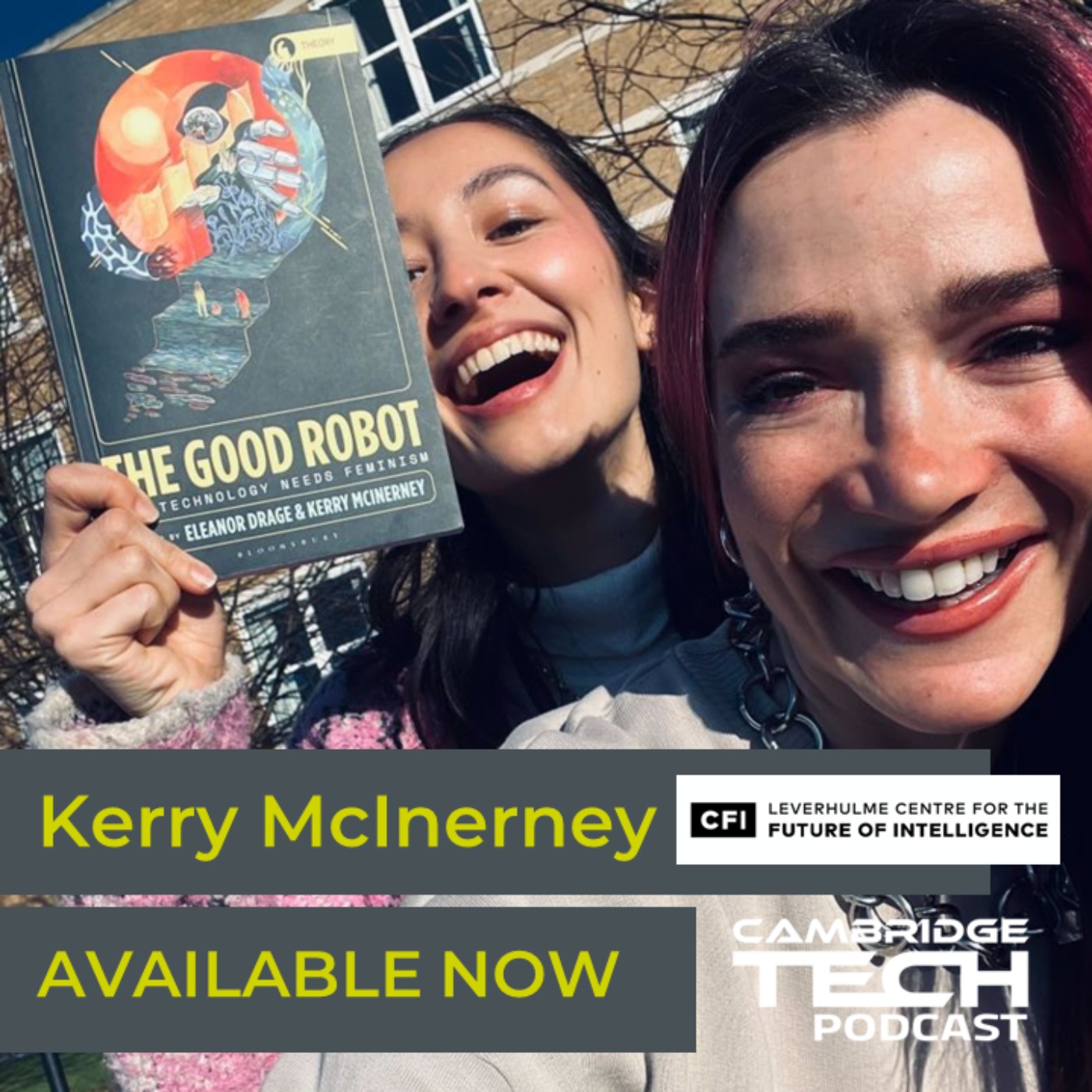 cover art for The Good Robot with co-editor Kerry McInerney