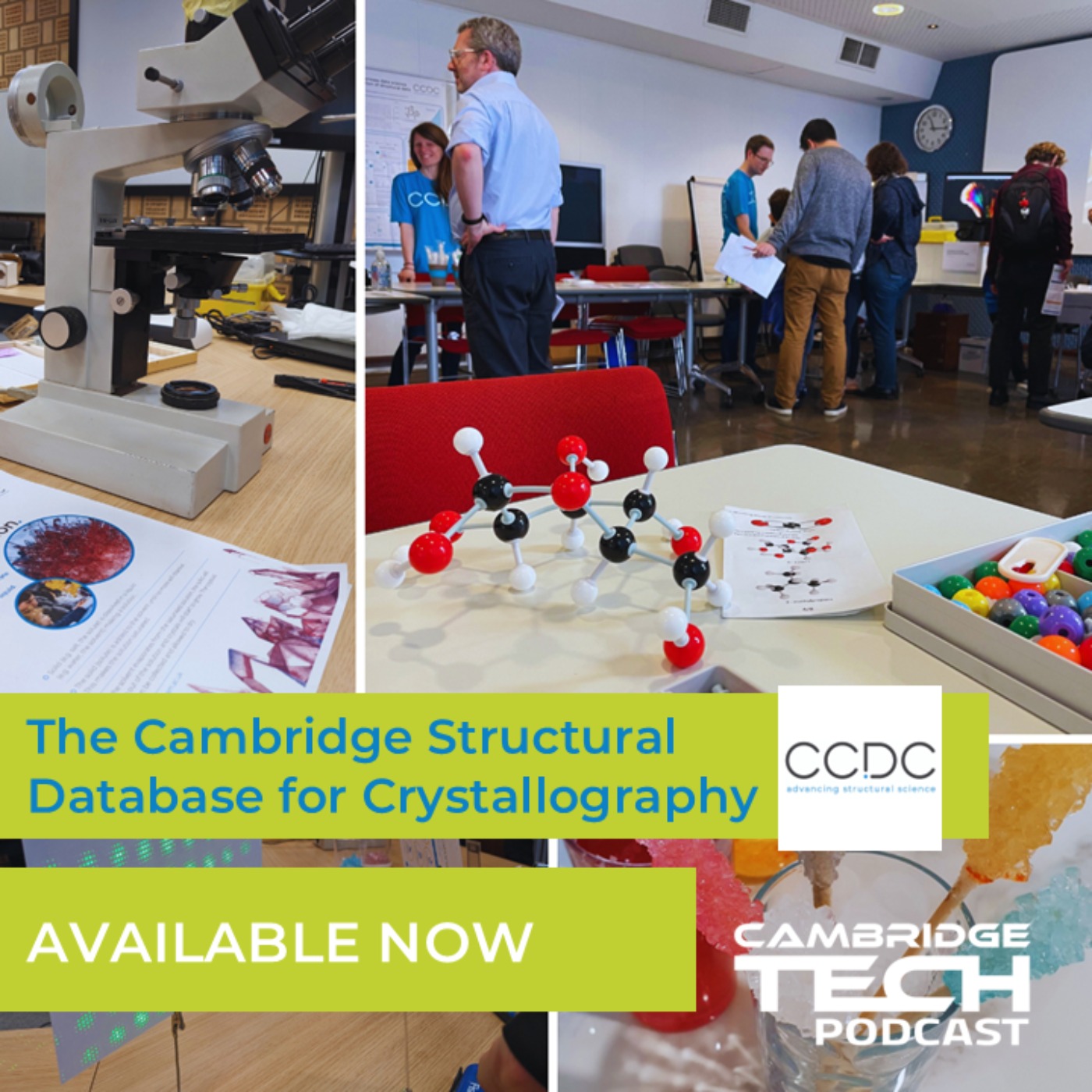 The Cambridge Structural Database for Crystallography