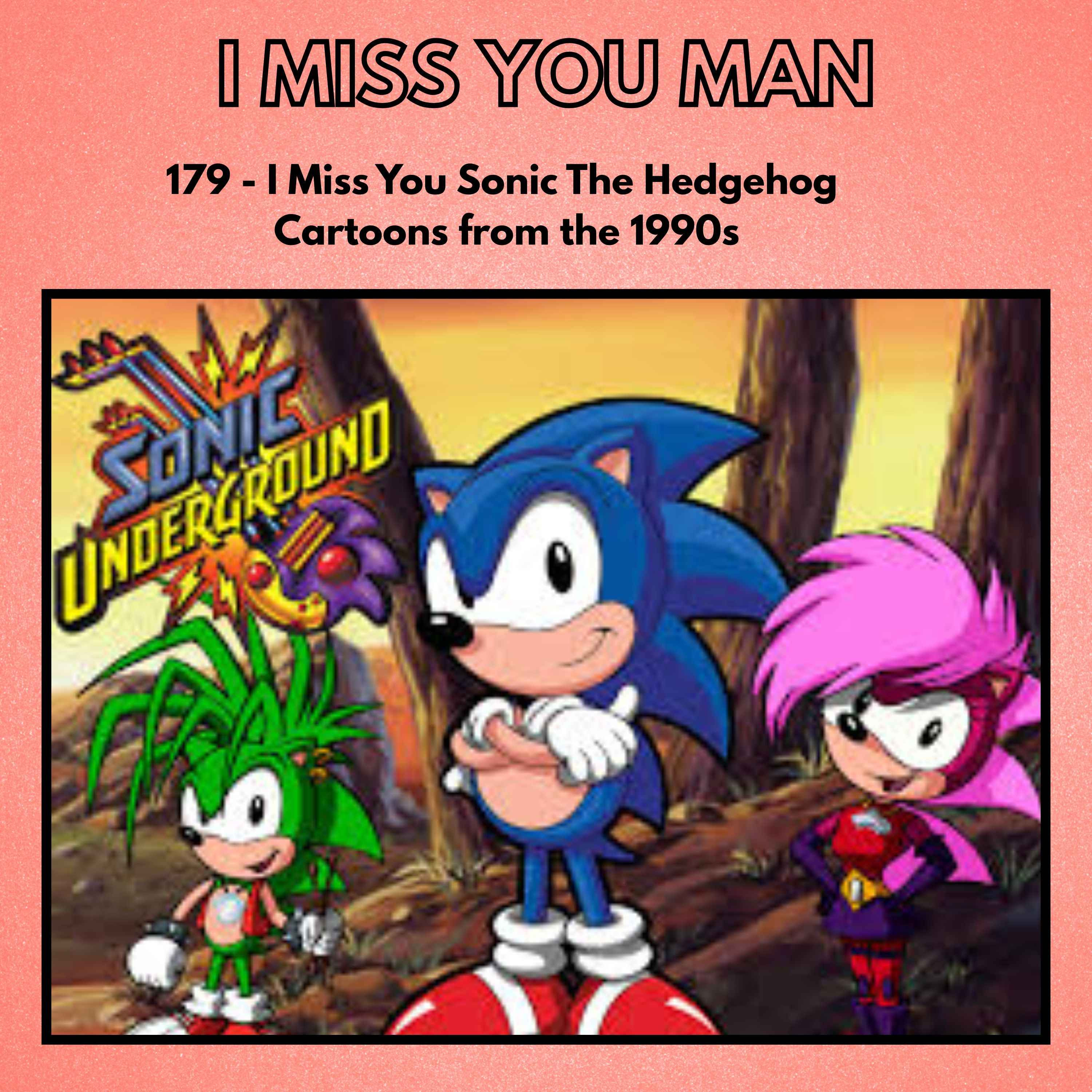 179 - I Miss You Sonic The Hedgehog Cartoons from the 1990s episode artwork