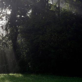 Tasting menu: Audio highlights from the October 15th 2016 edition