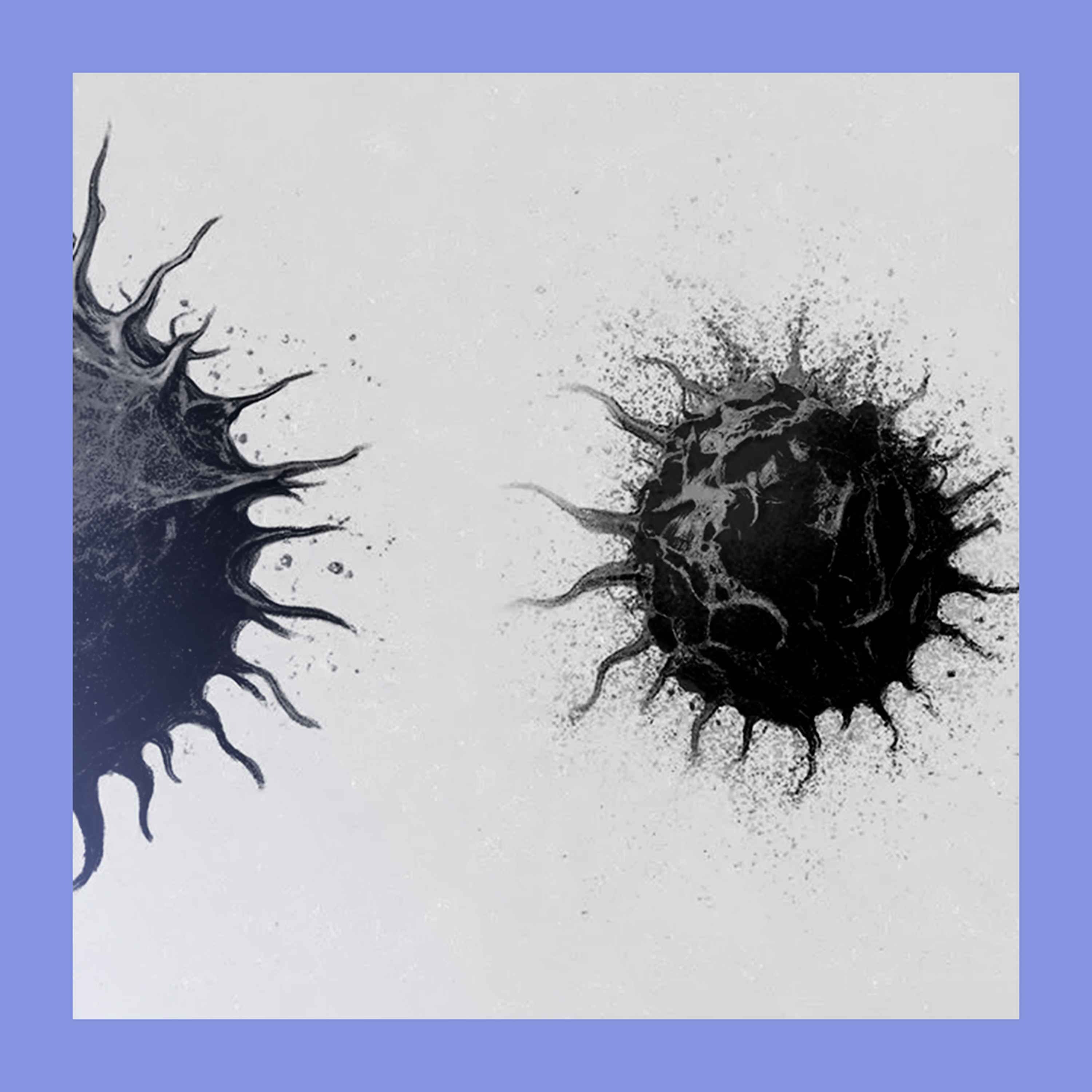The smaller C: progress in beating cancer