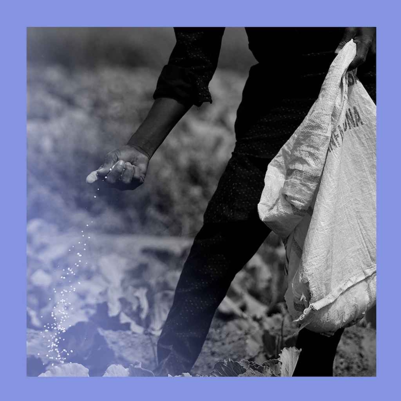 Food awakening: Iran’s ripple effect