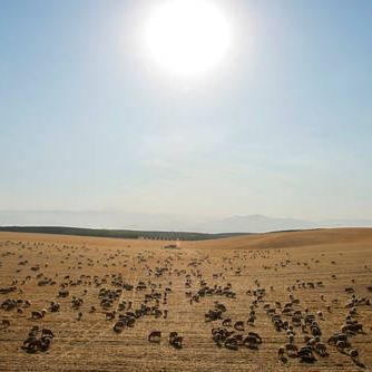 Babbage: A climate of change