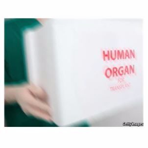 Babbage: Frosty organs and doped-up horses