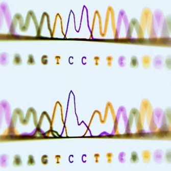 Babbage: Schizophrenic genes