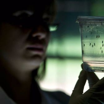 Babbage: Viruses and Facebook friends
