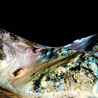 Babbage: Opportunity and curiosity