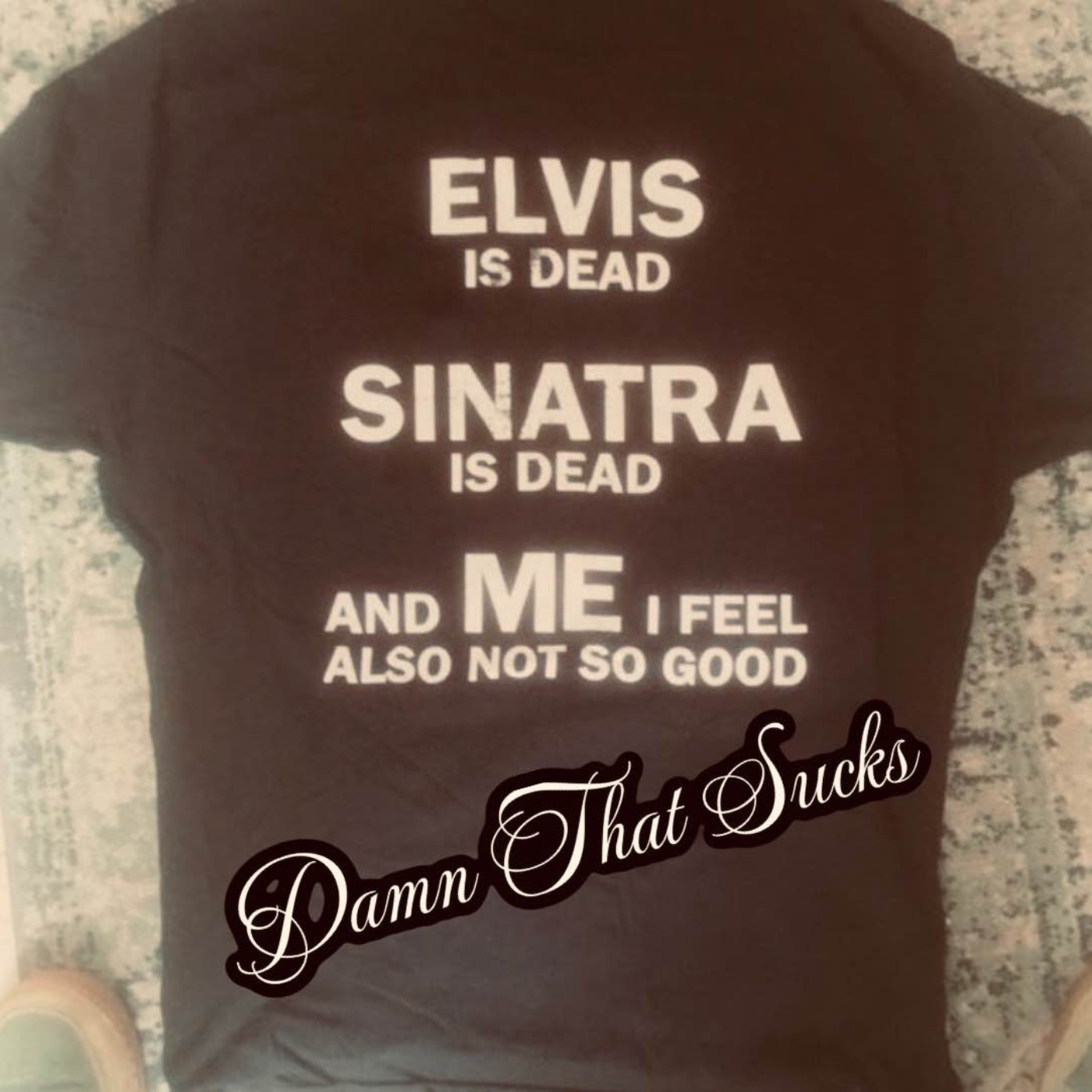 damn, that sucks podcast artwork
