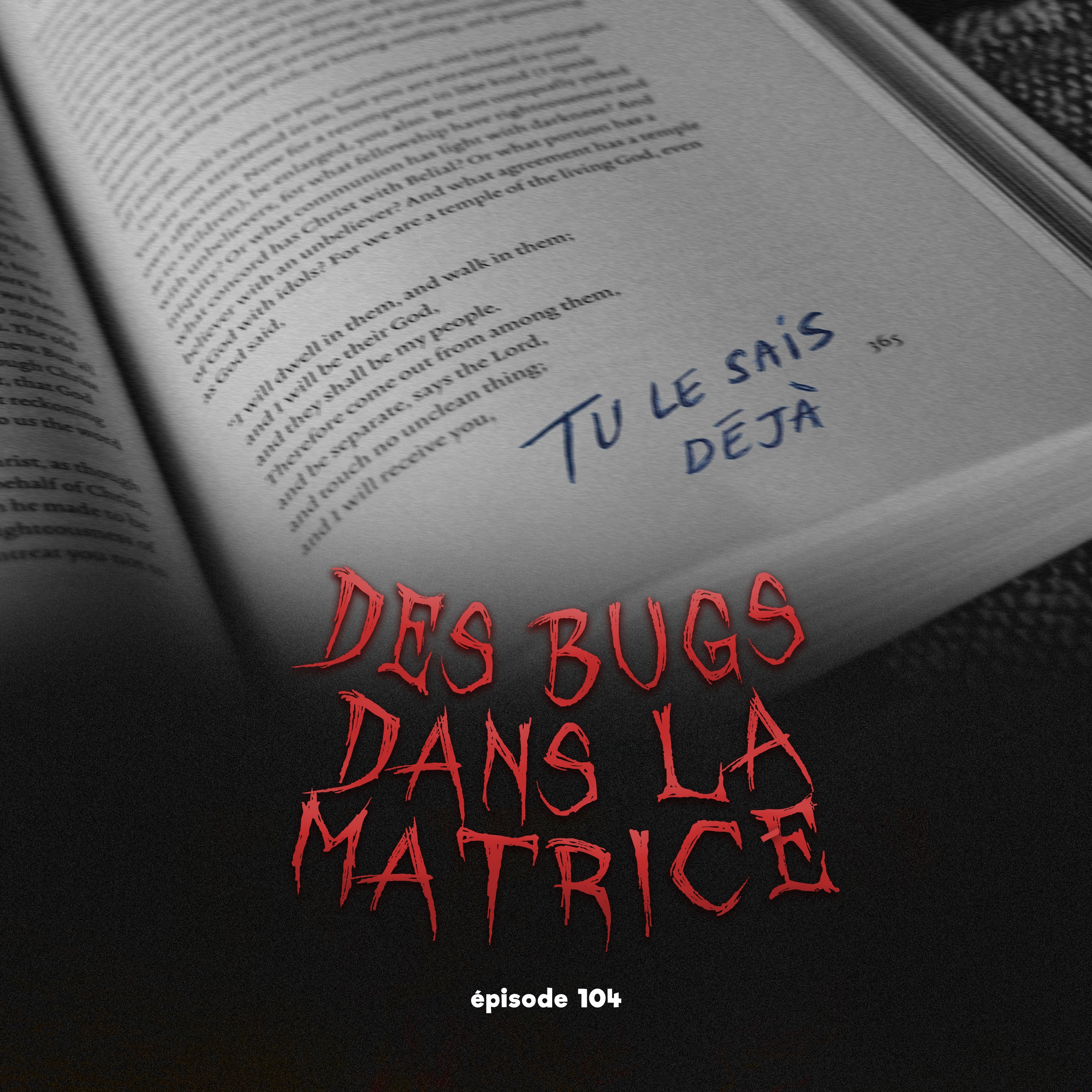 #104 - Témoignages effrayants de glitchs dans la matrice