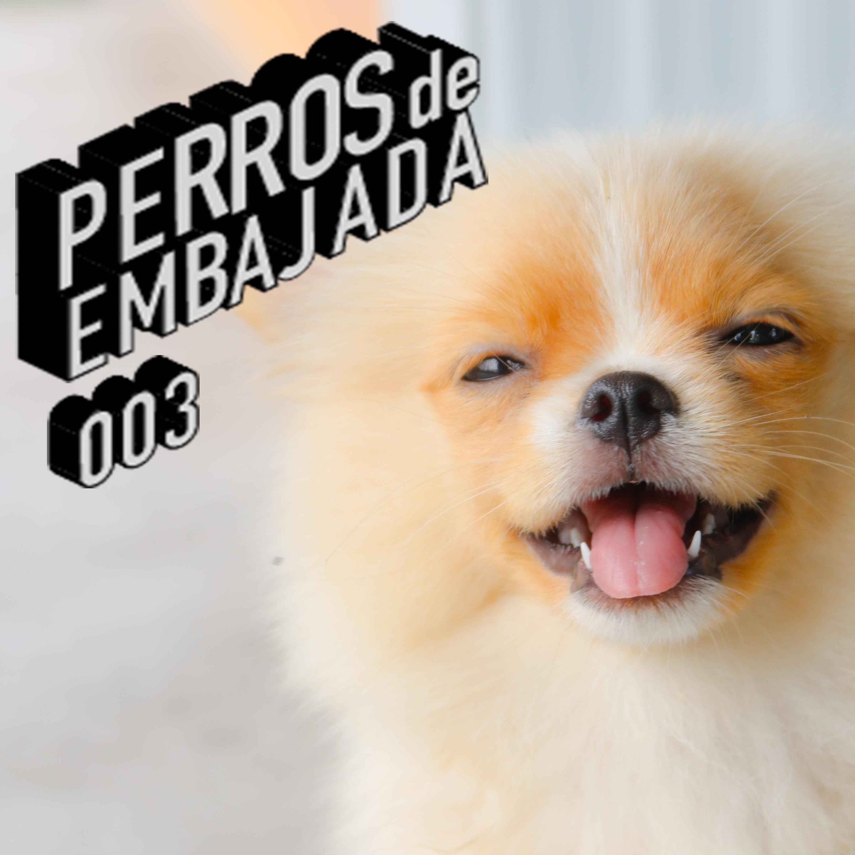 Perros de Embajada