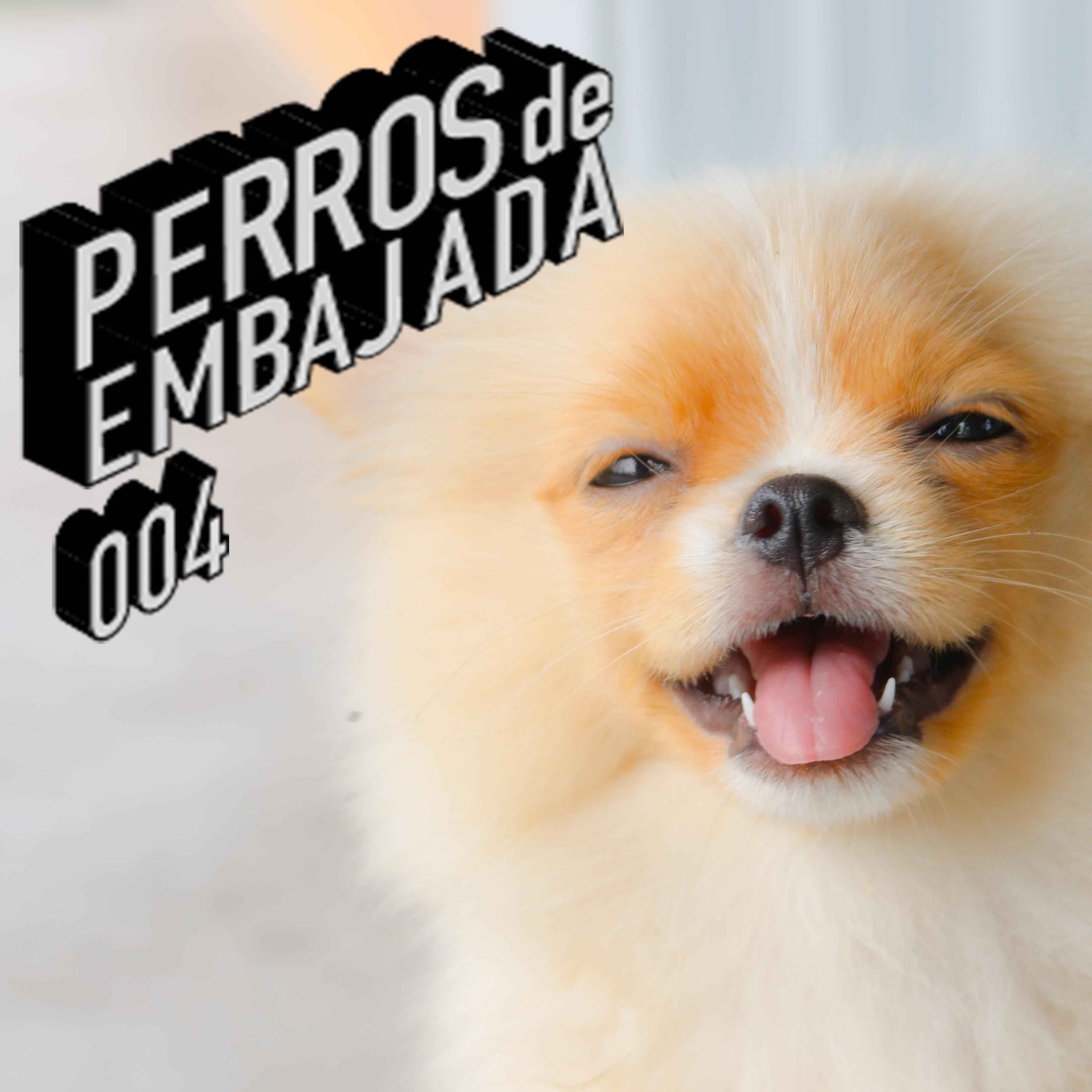 Perros de Embajada