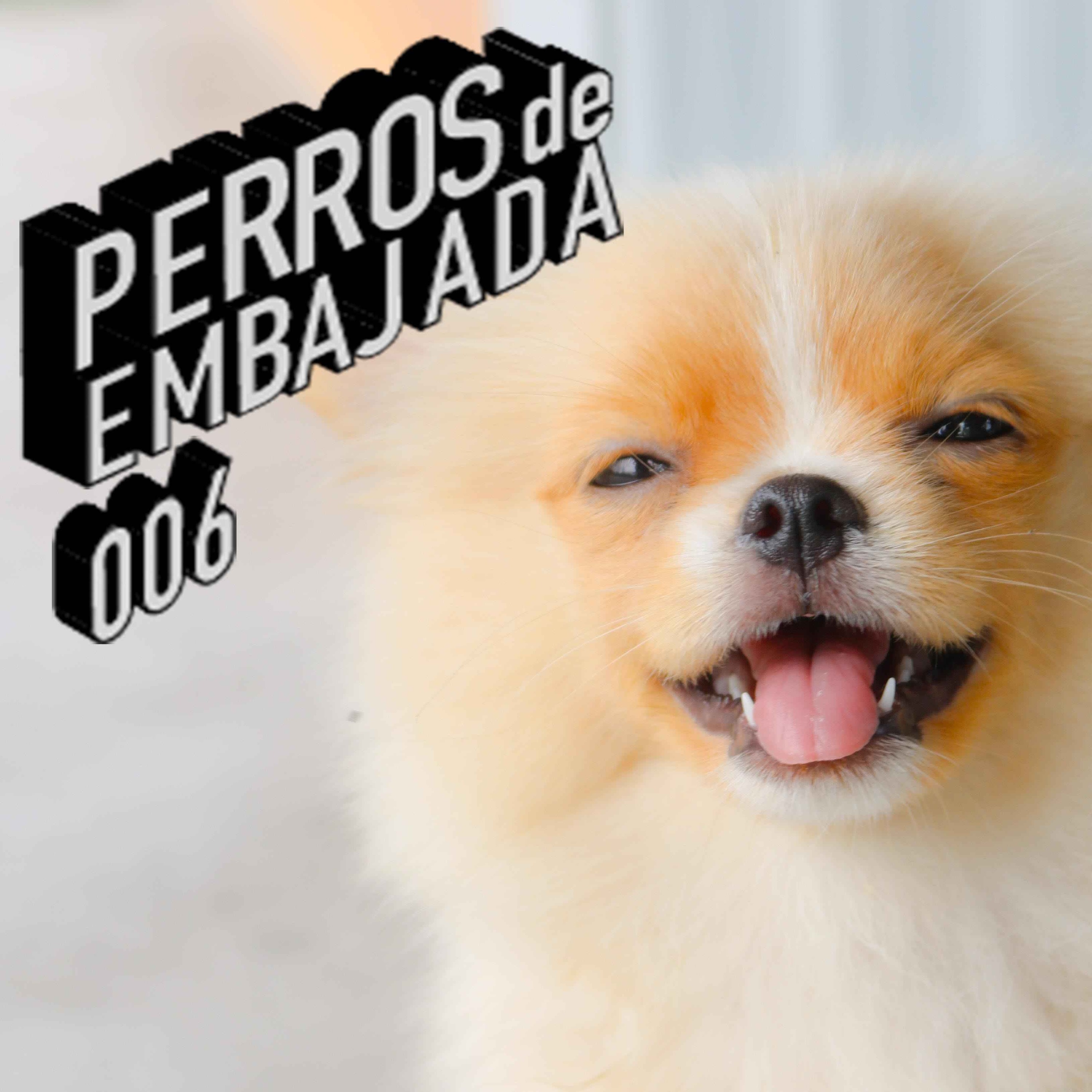 Perros de Embajada