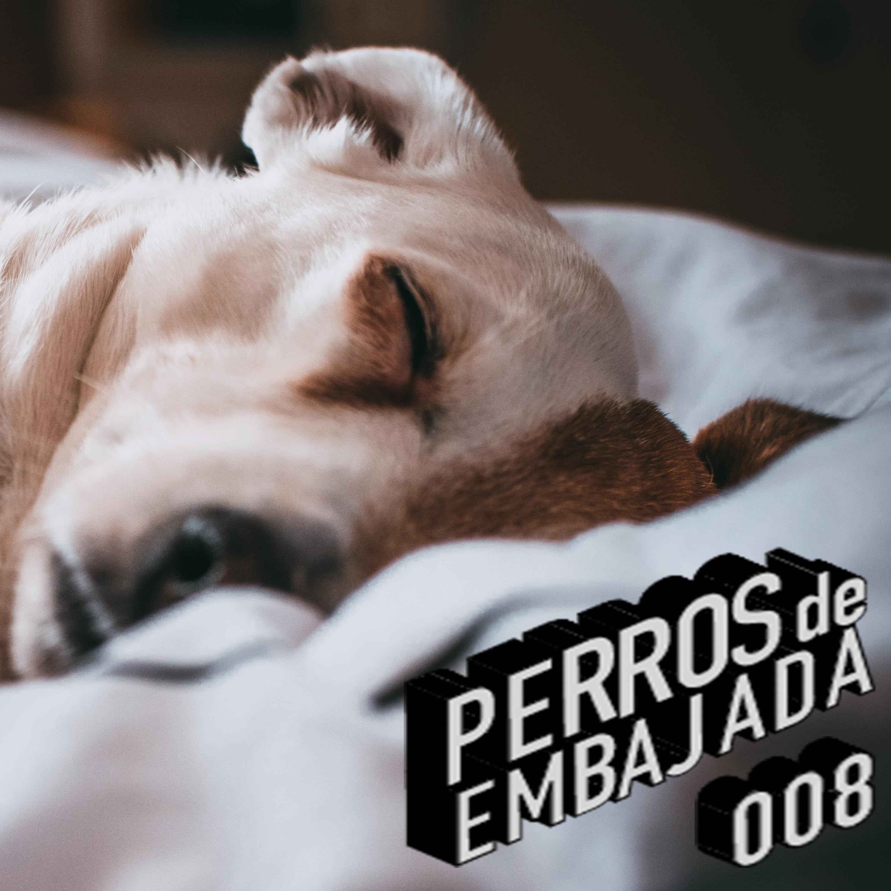 Perros de Embajada