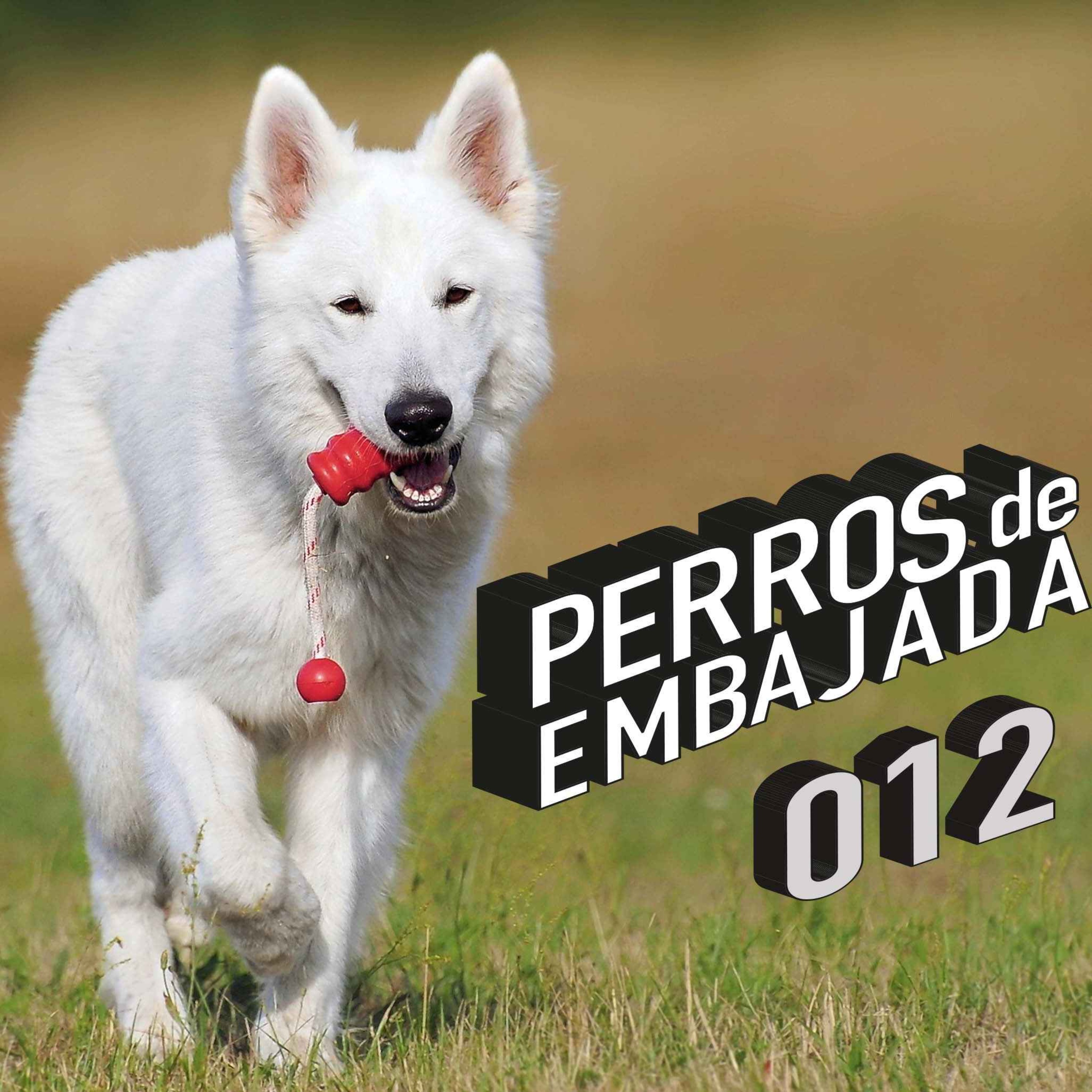 Perros de Embajada