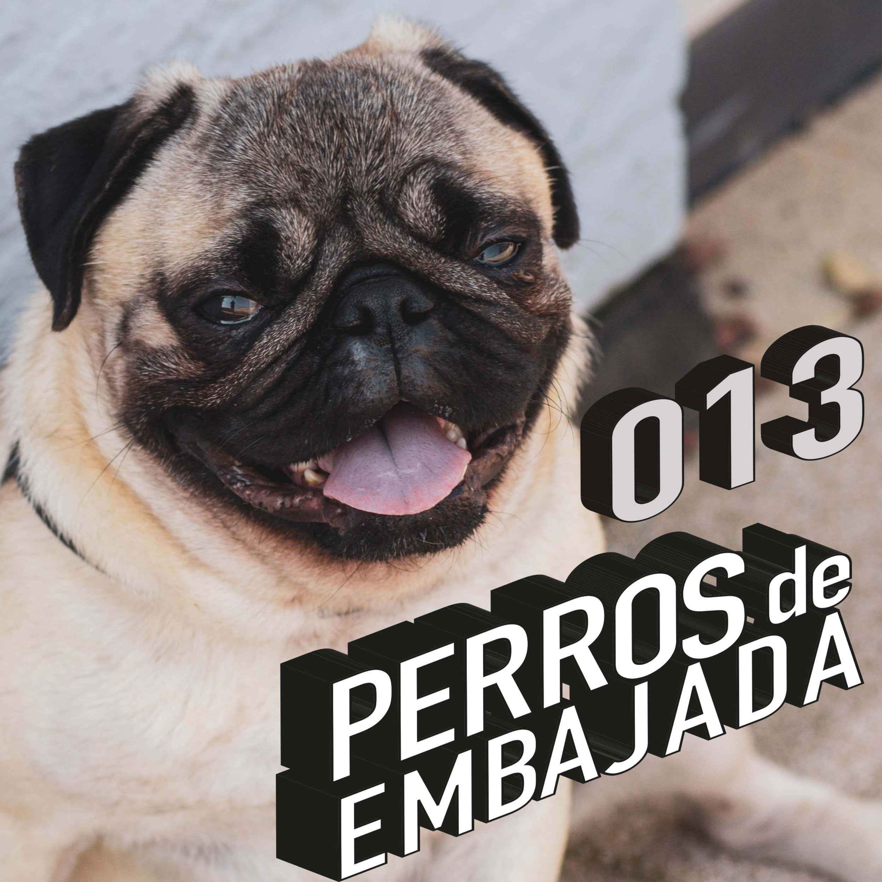 Perros de Embajada