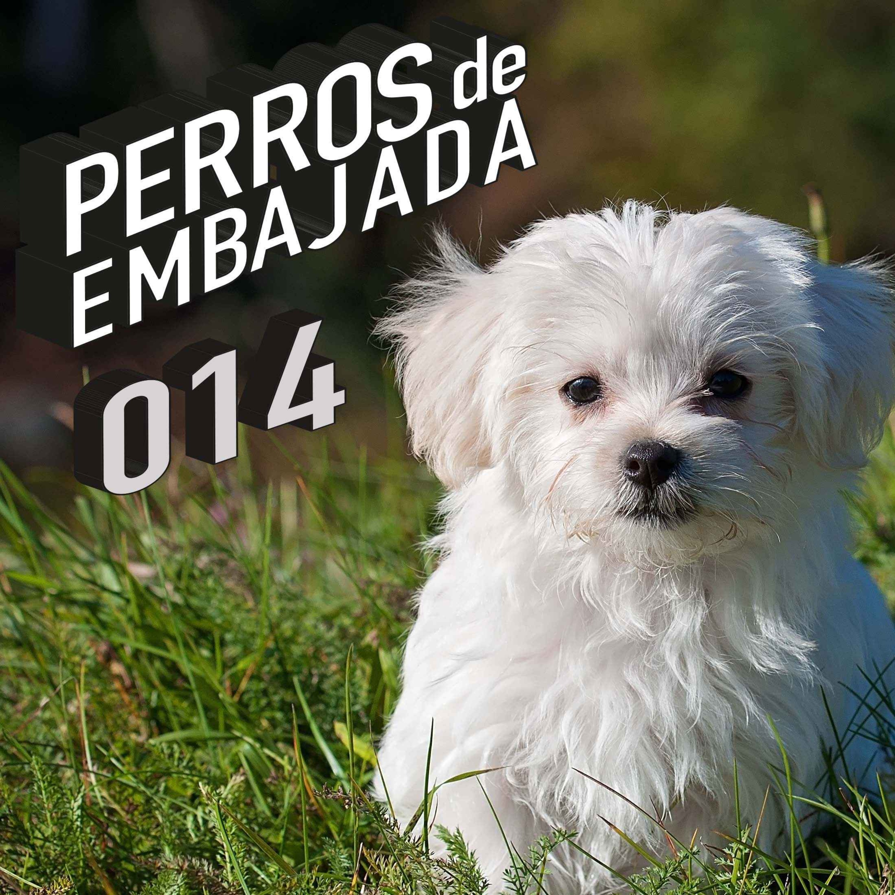 Perros de Embajada