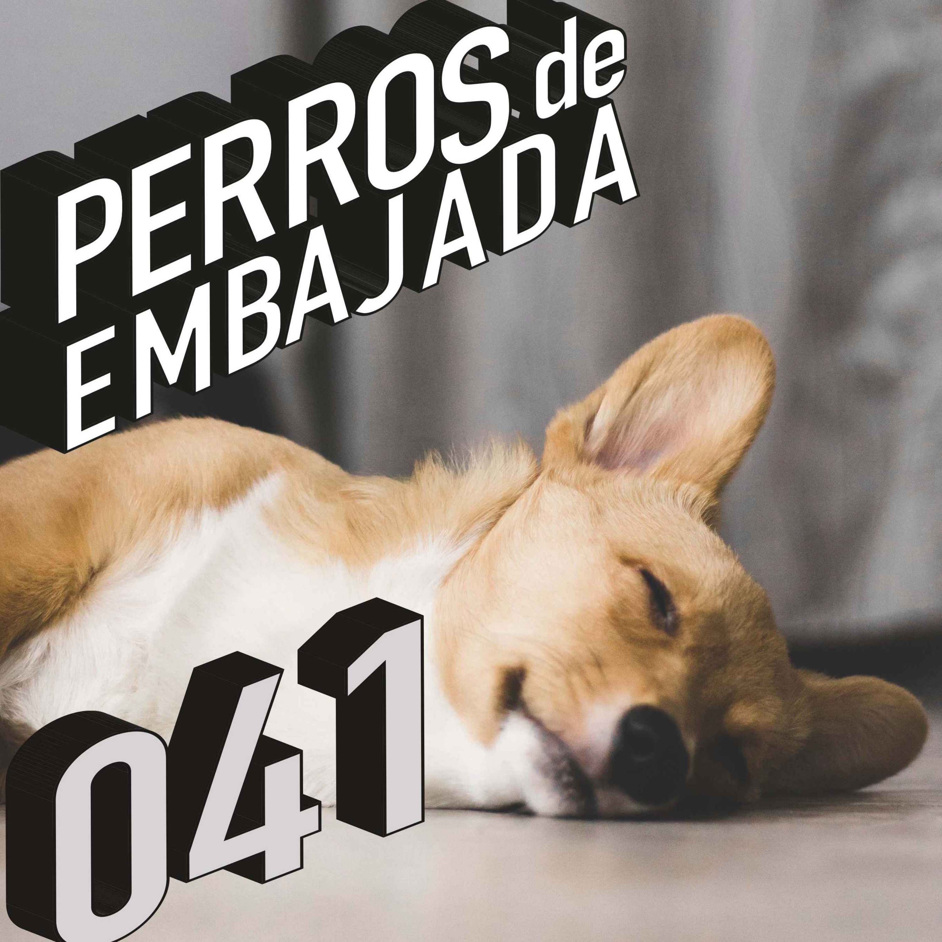 Perros de Embajada