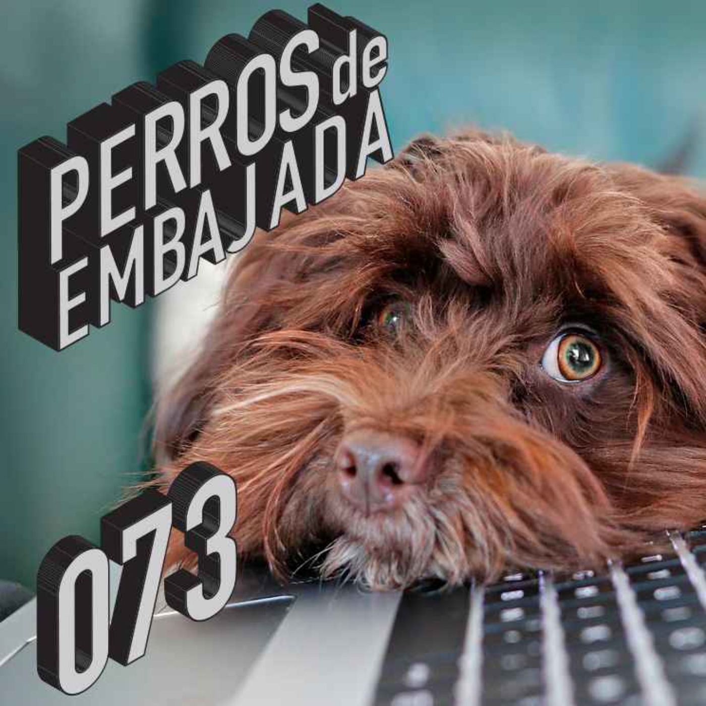 Perros de Embajada