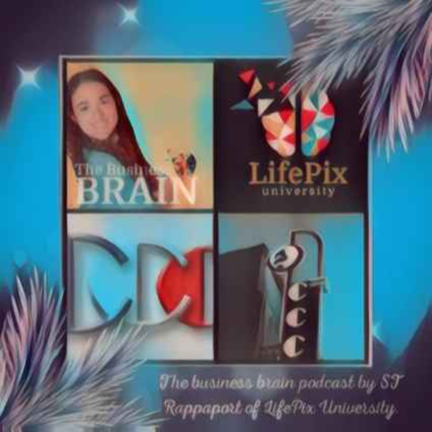 The business brain podcast by ST Rappaport of LifePix University. A Fun-tastic Workplace Culture with Richard Blank. episode artwork