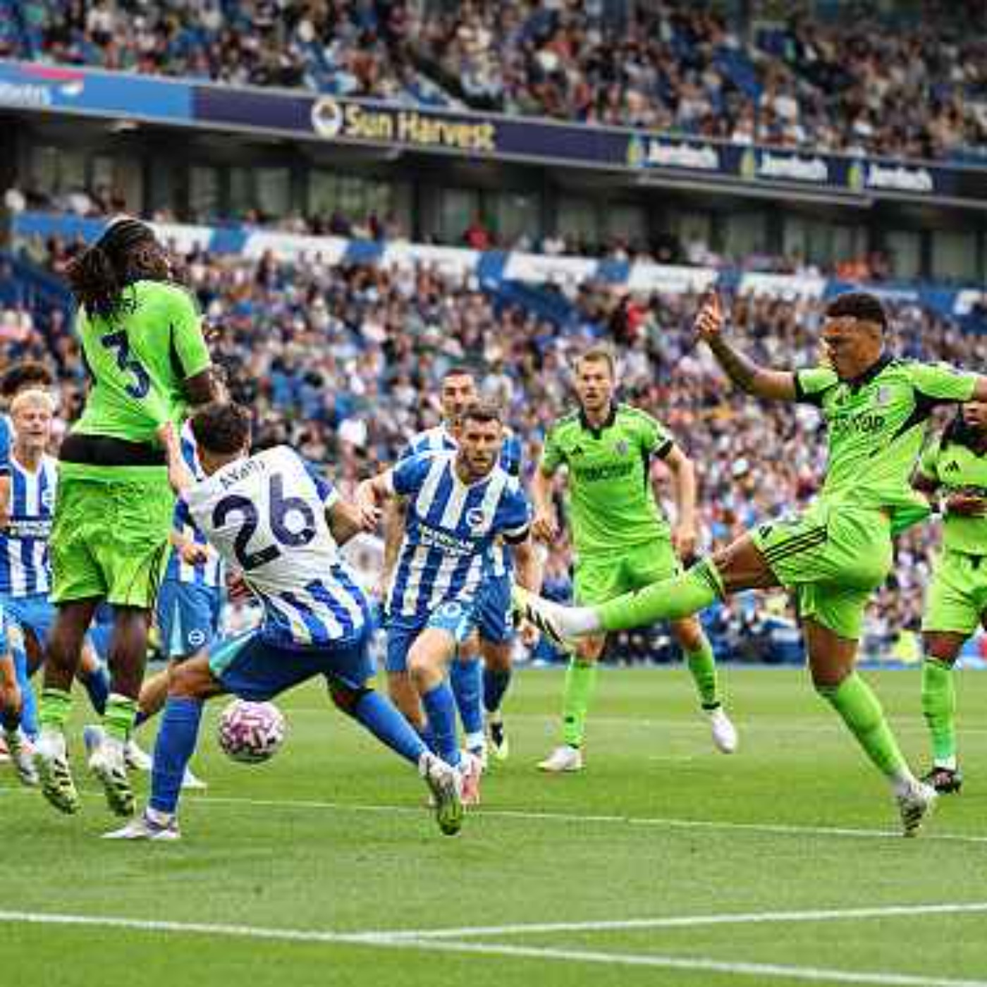 Muniz Denies Brighton