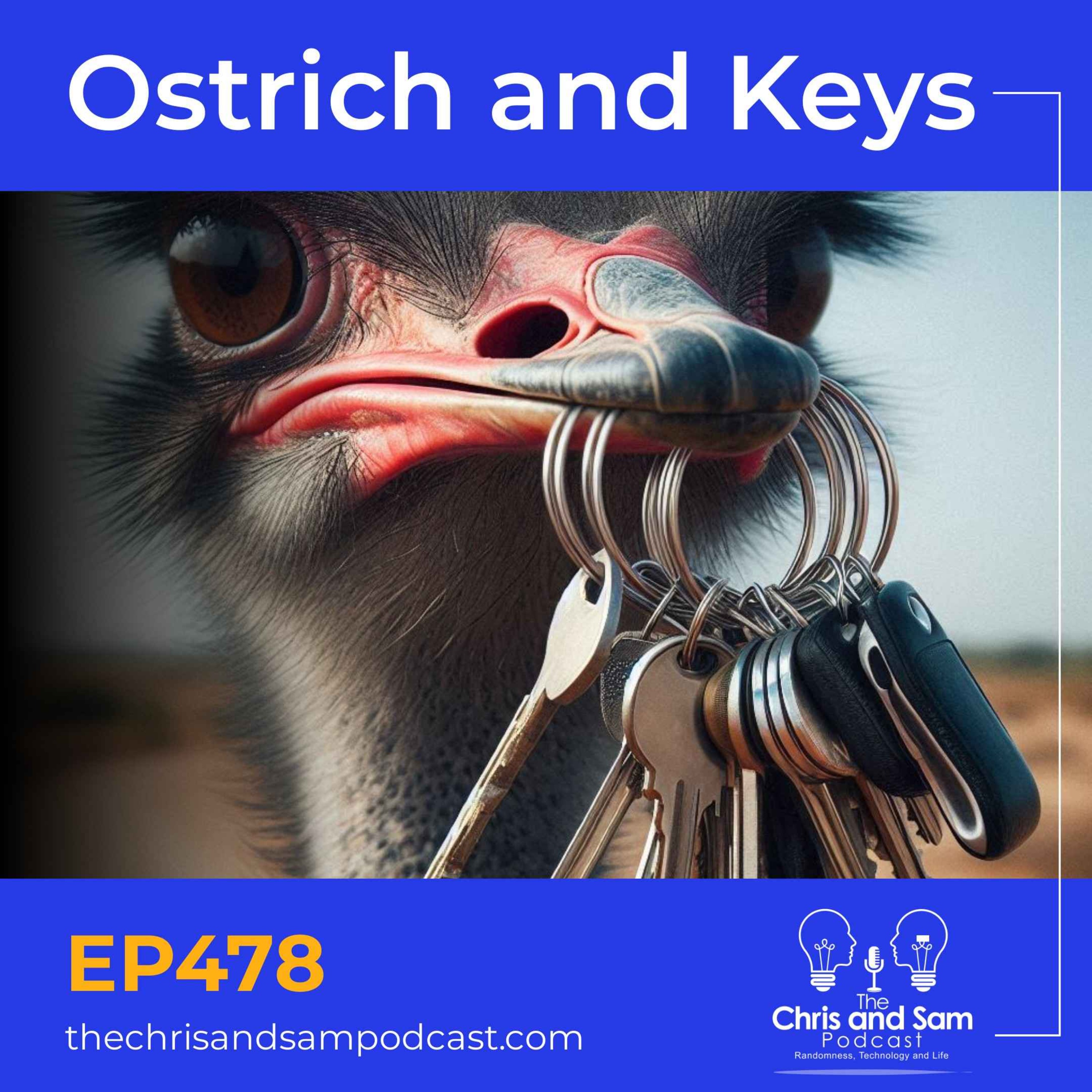 cover art for Ostrich and Keys