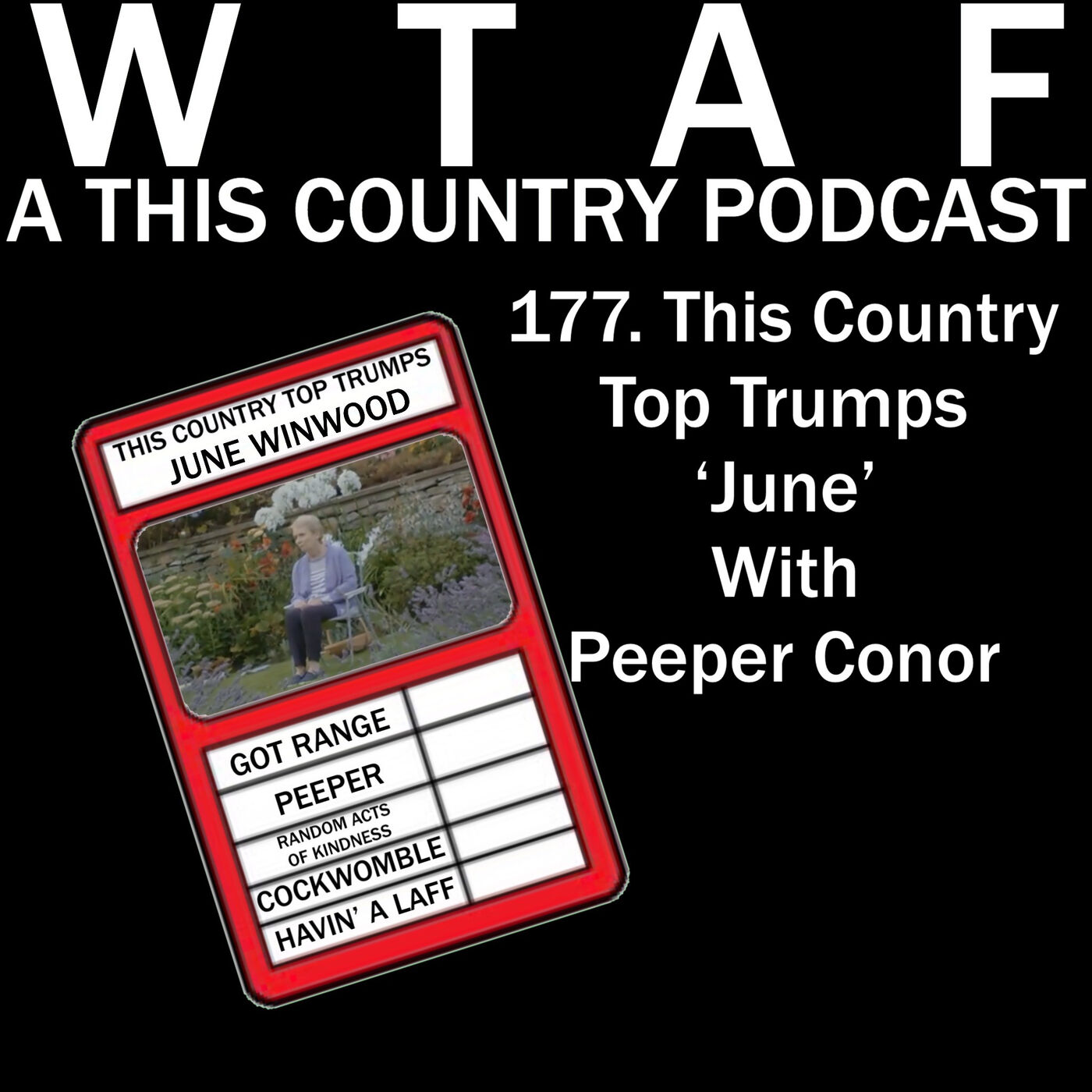 WTAF - A THIS COUNTRY PODCAST