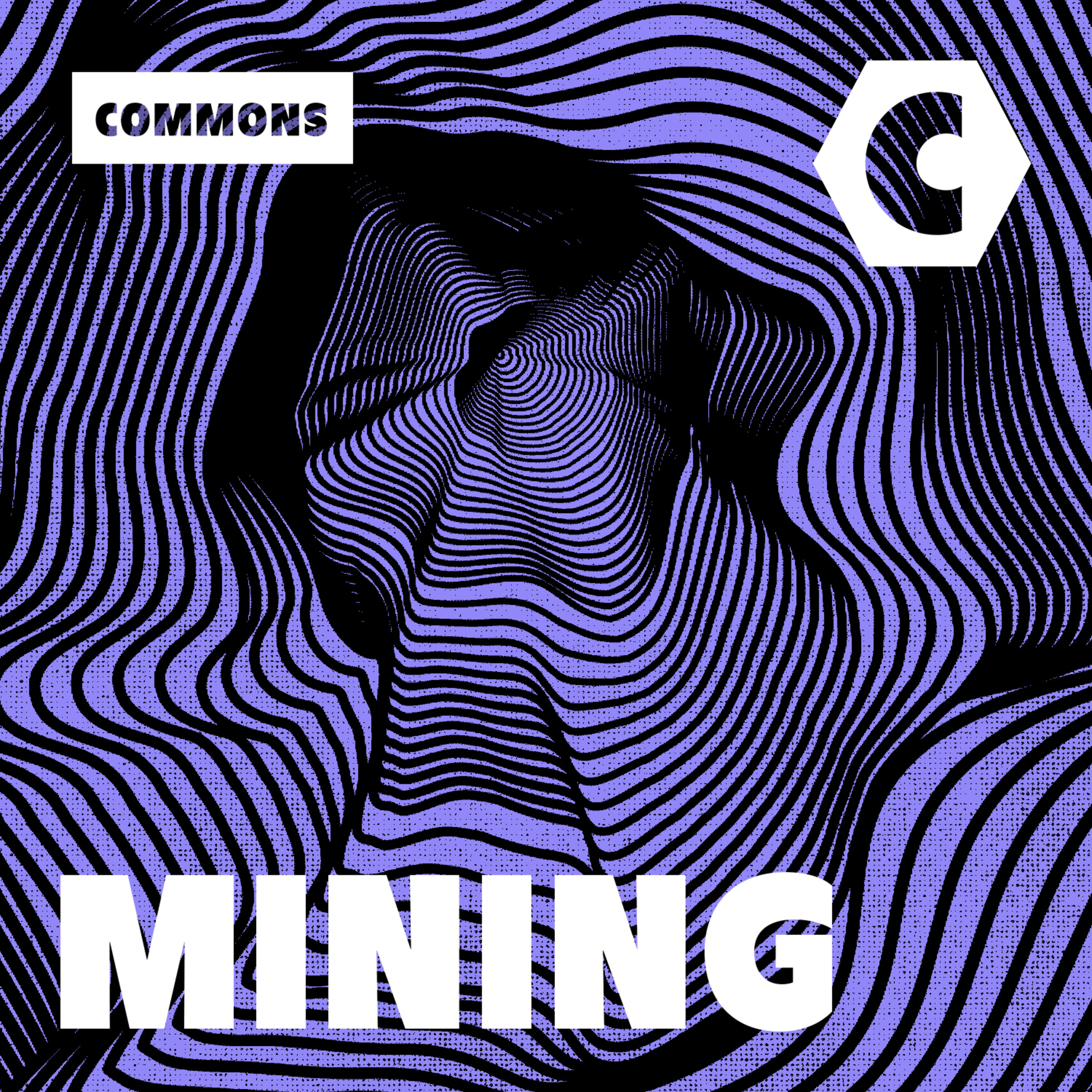 MINING 8 - The Crying of Lot 8