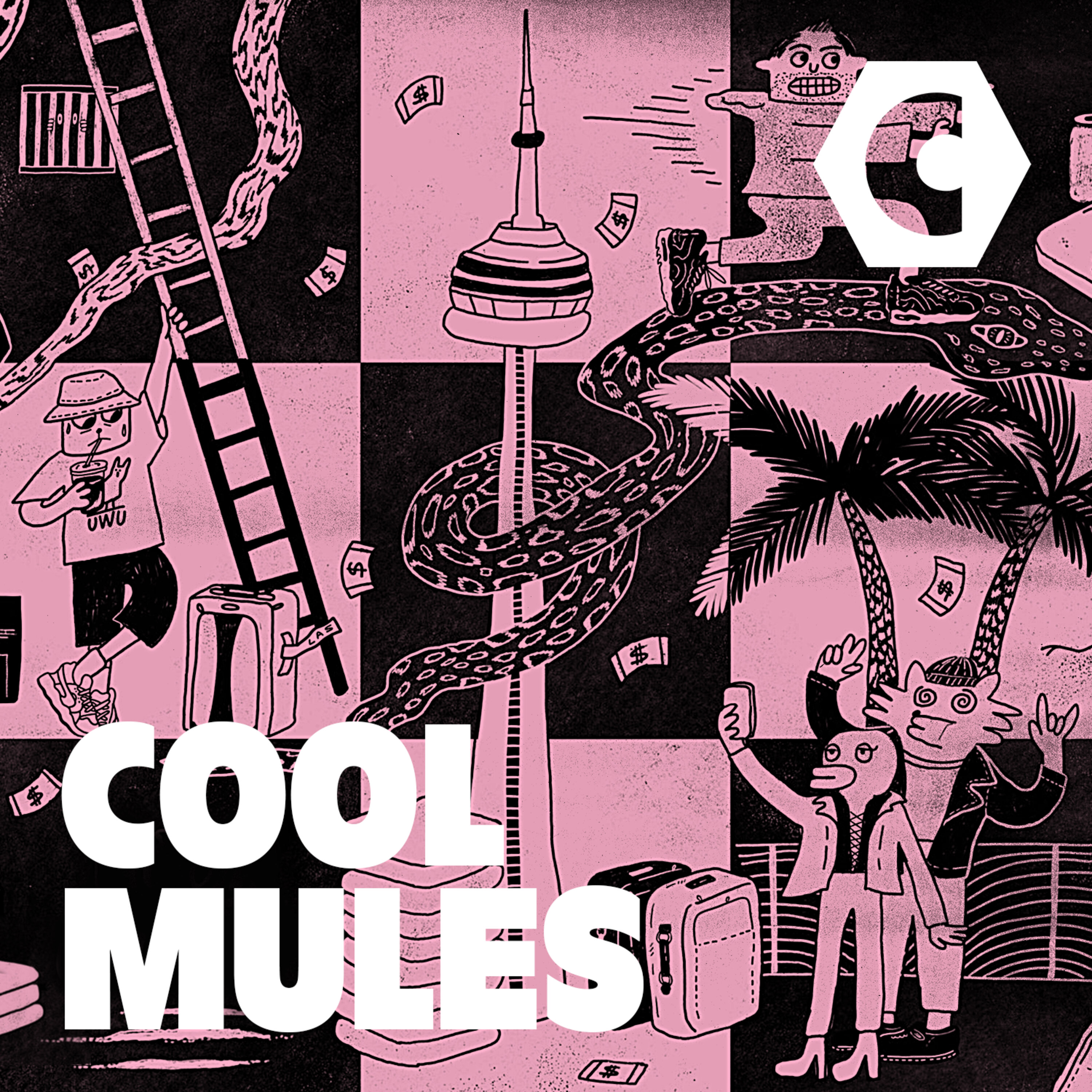 Introducing: Cool Mules
