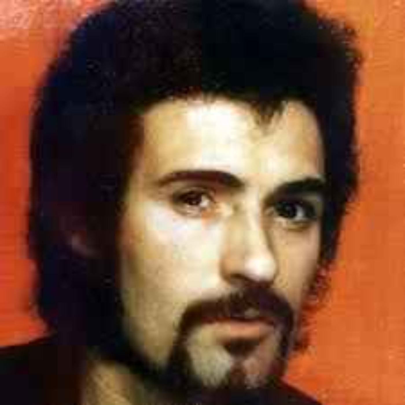 cover art for Peter Sutcliffe - Del 1