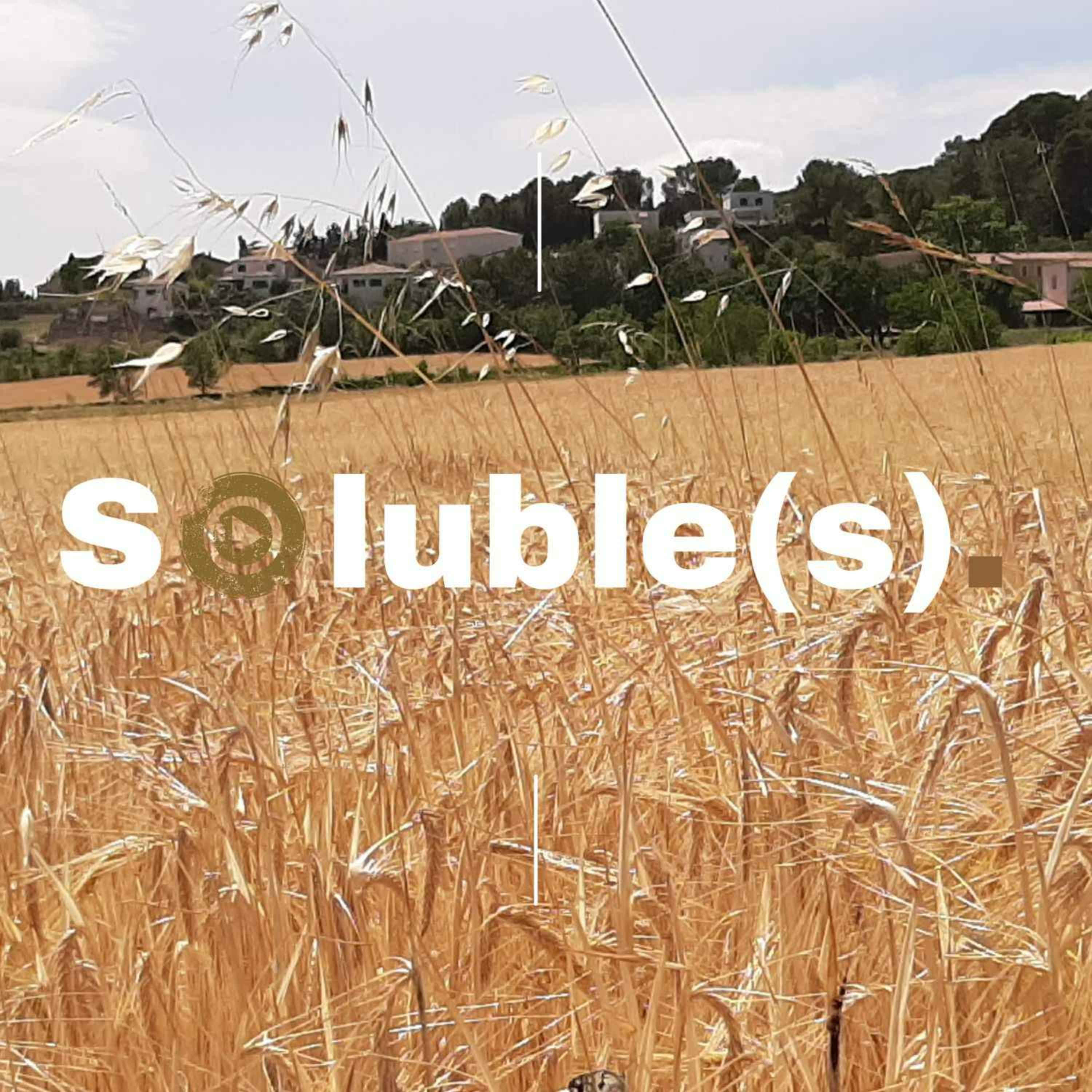 Soluble(s) | Actu, Ecologie, Société & Solutions