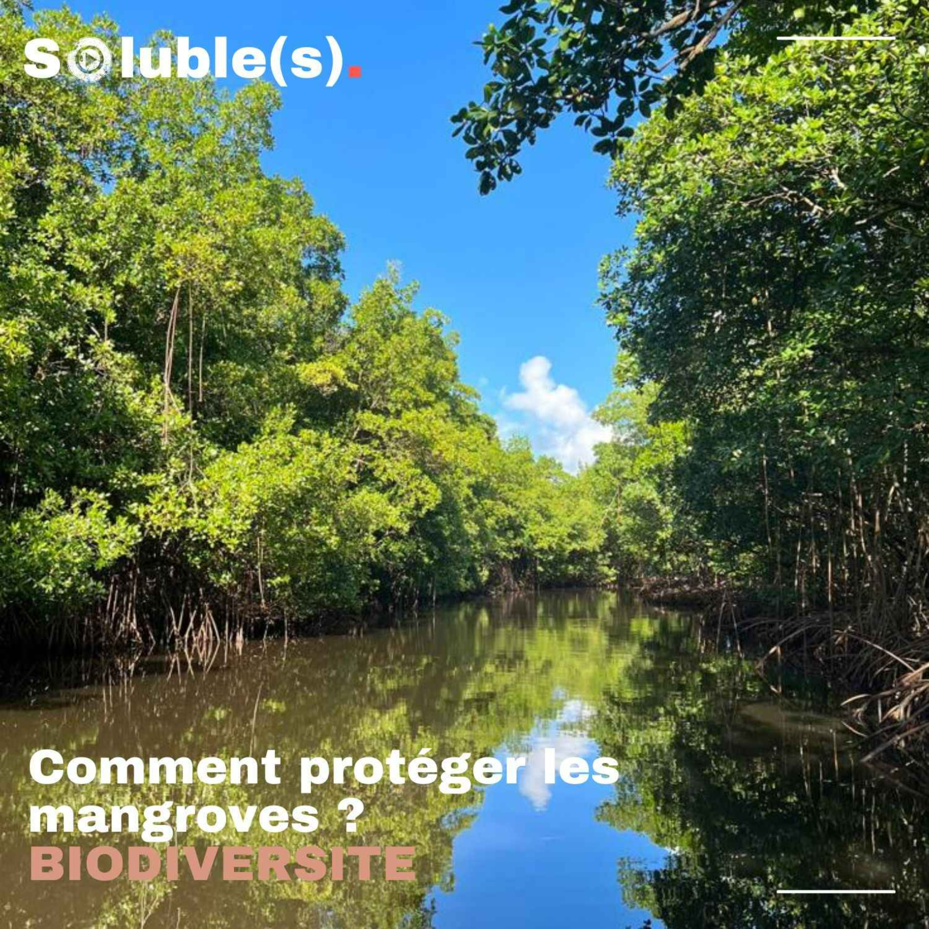 Soluble(s) | Actu, Ecologie, Société & Solutions