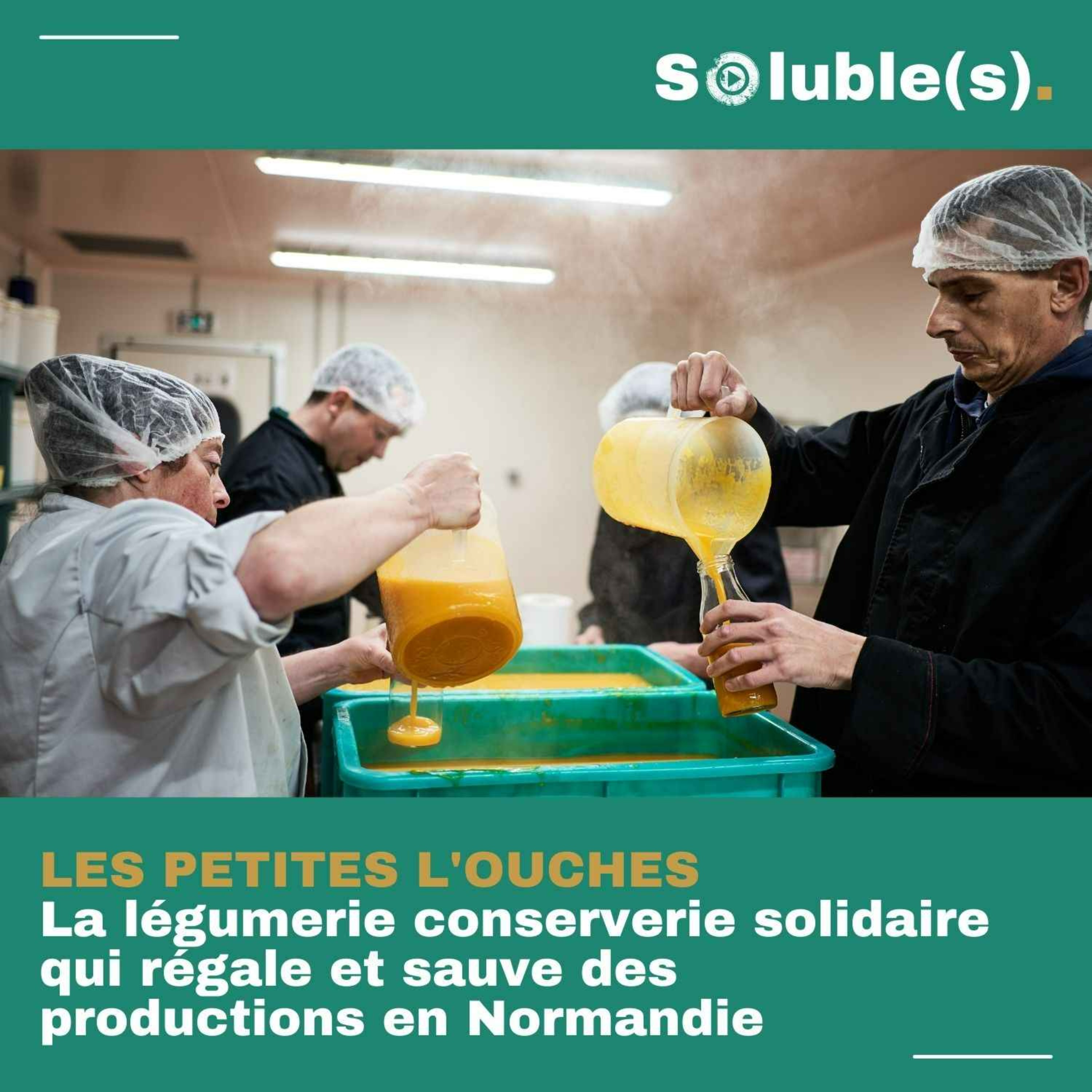 Soluble(s) | Actu, Ecologie, Société & Solutions