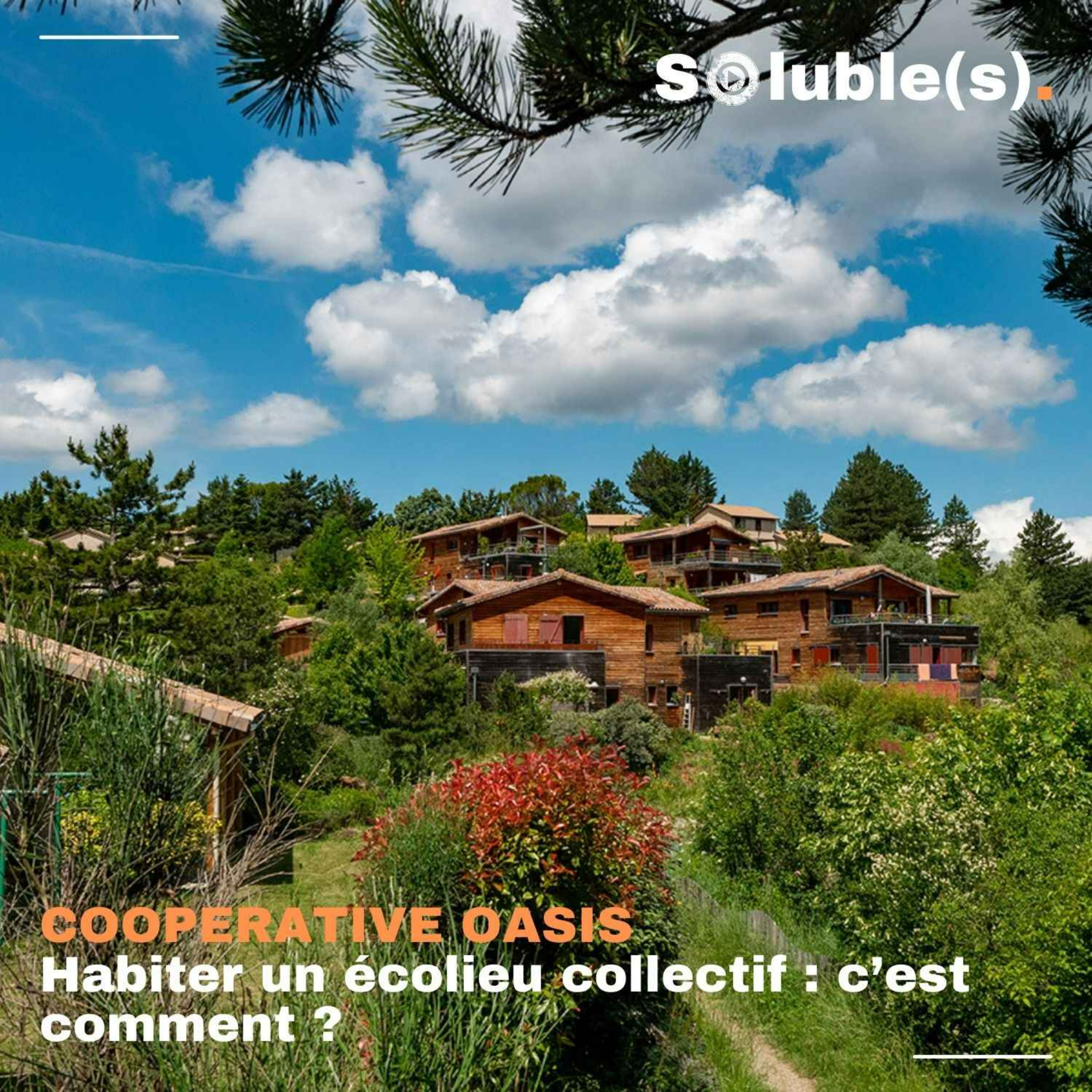 Soluble(s) | Actu, Ecologie, Société & Solutions