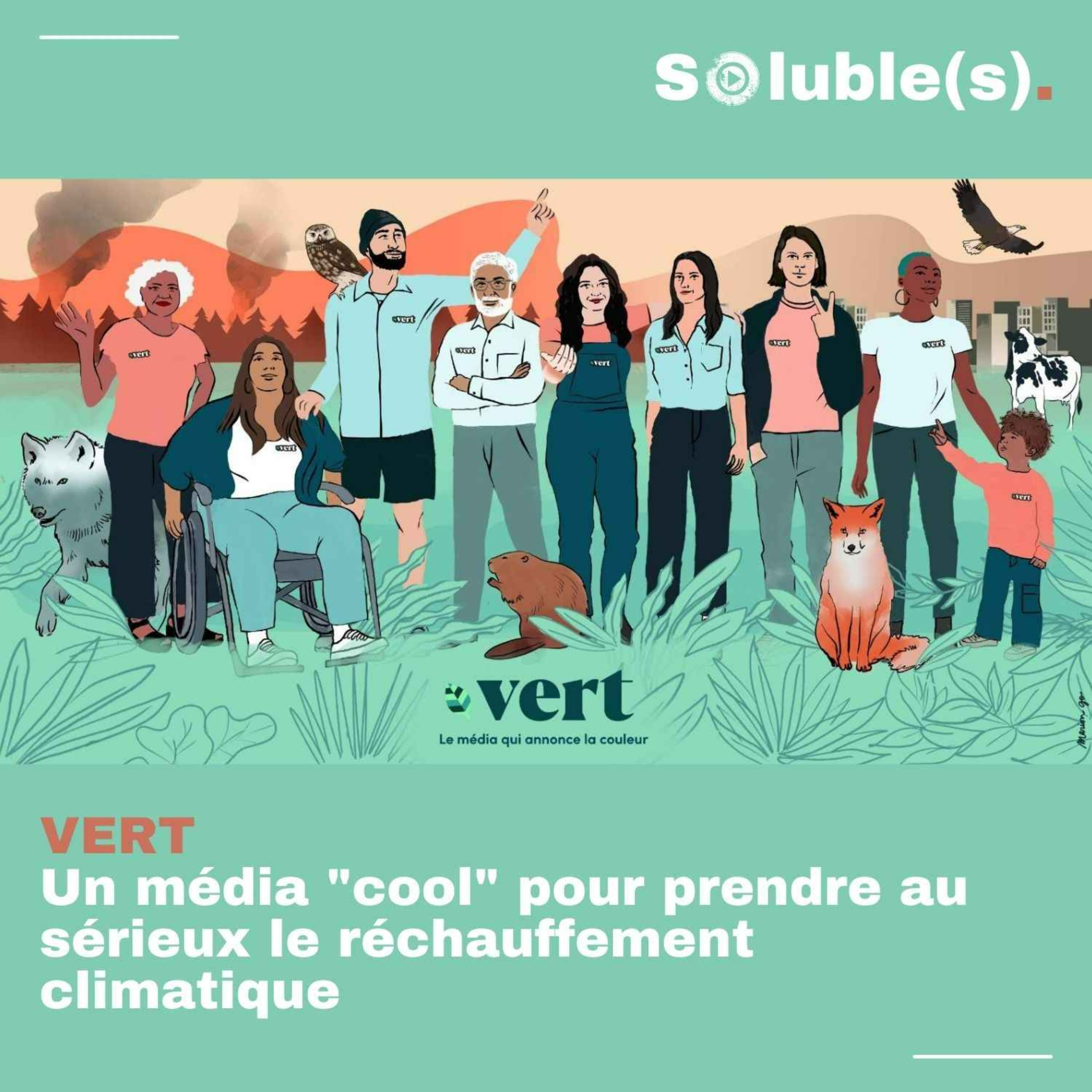 Soluble(s) | Actu, Ecologie, Société & Solutions