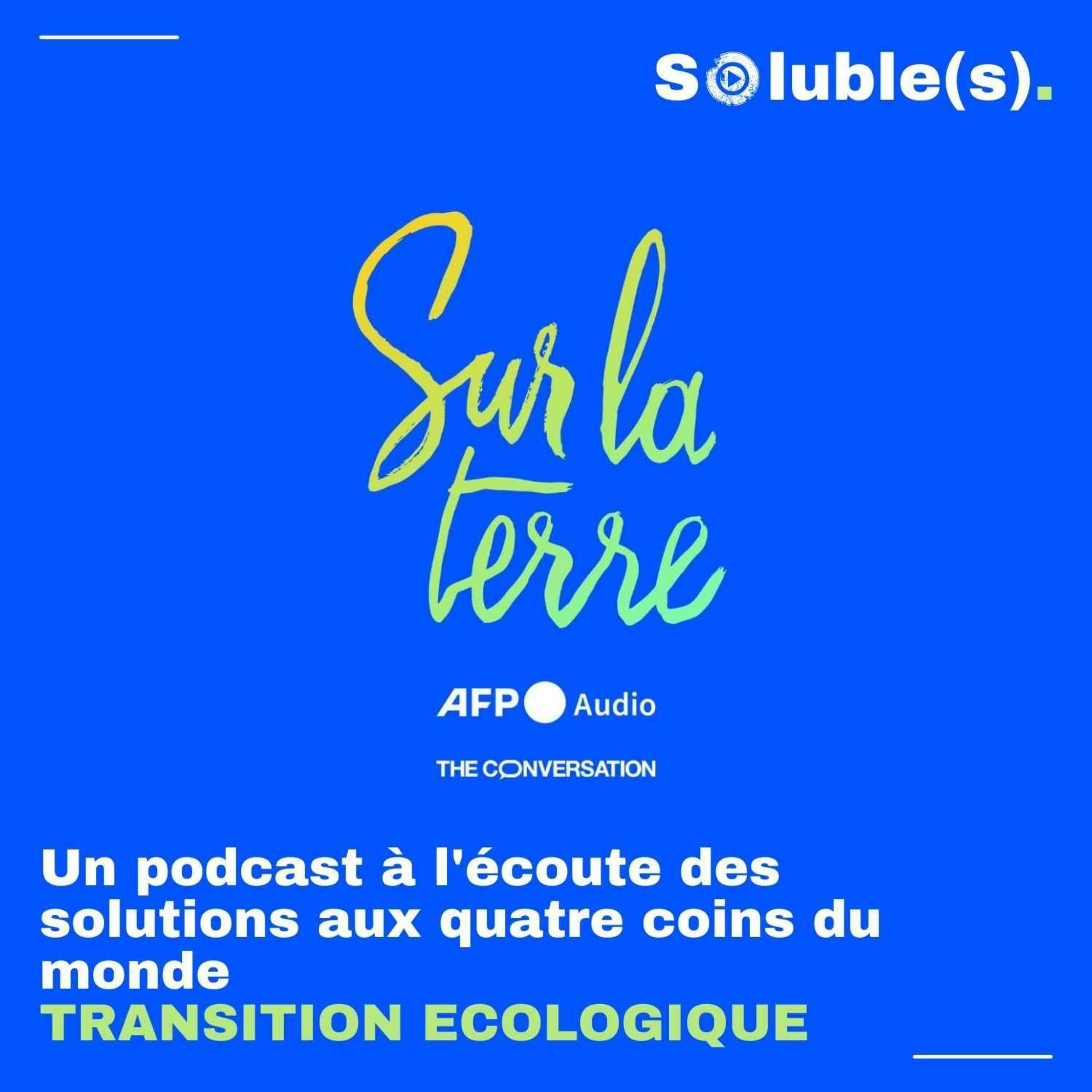 Soluble(s) | Actu, Ecologie, Société & Solutions