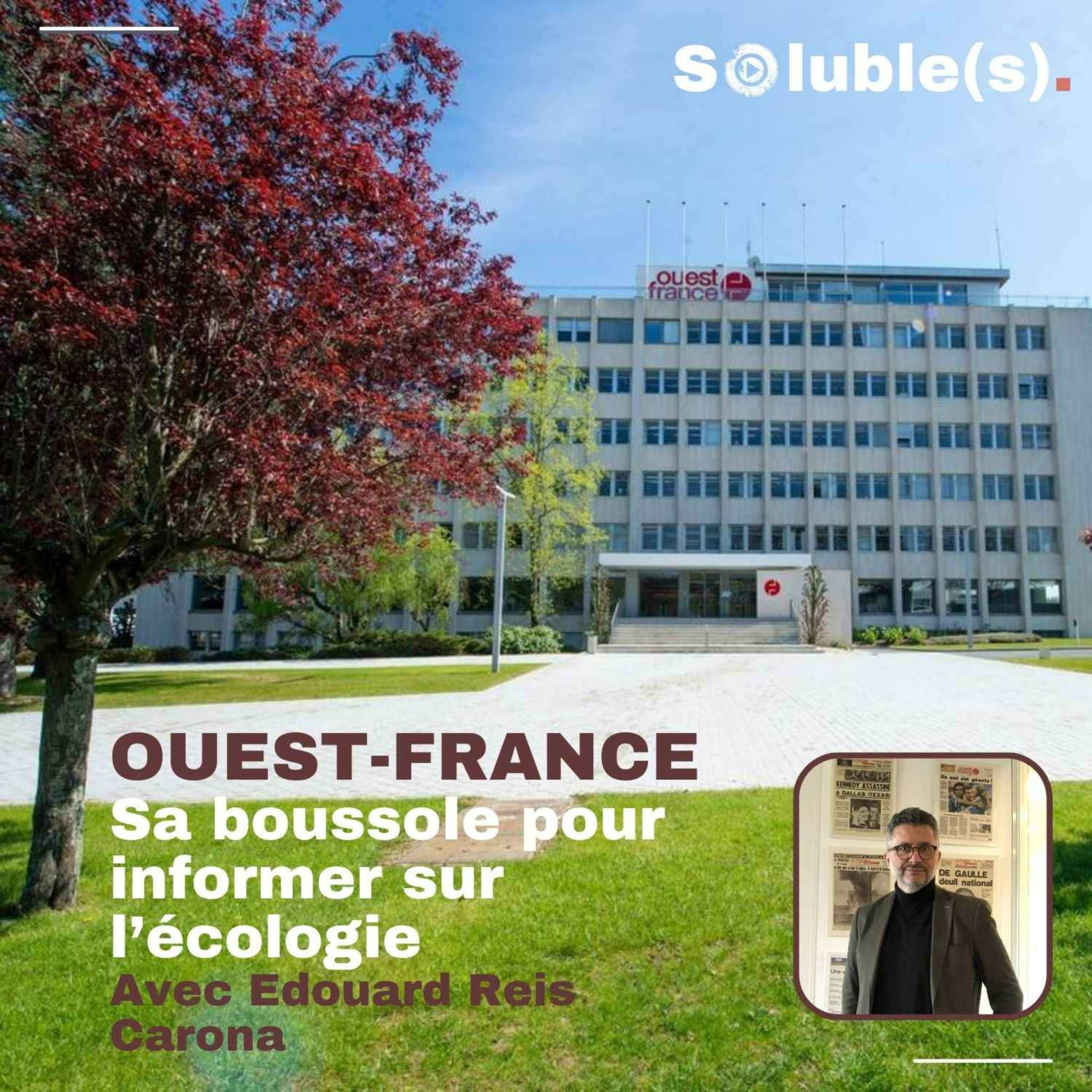 Soluble(s) | Actu, Ecologie, Société & Solutions