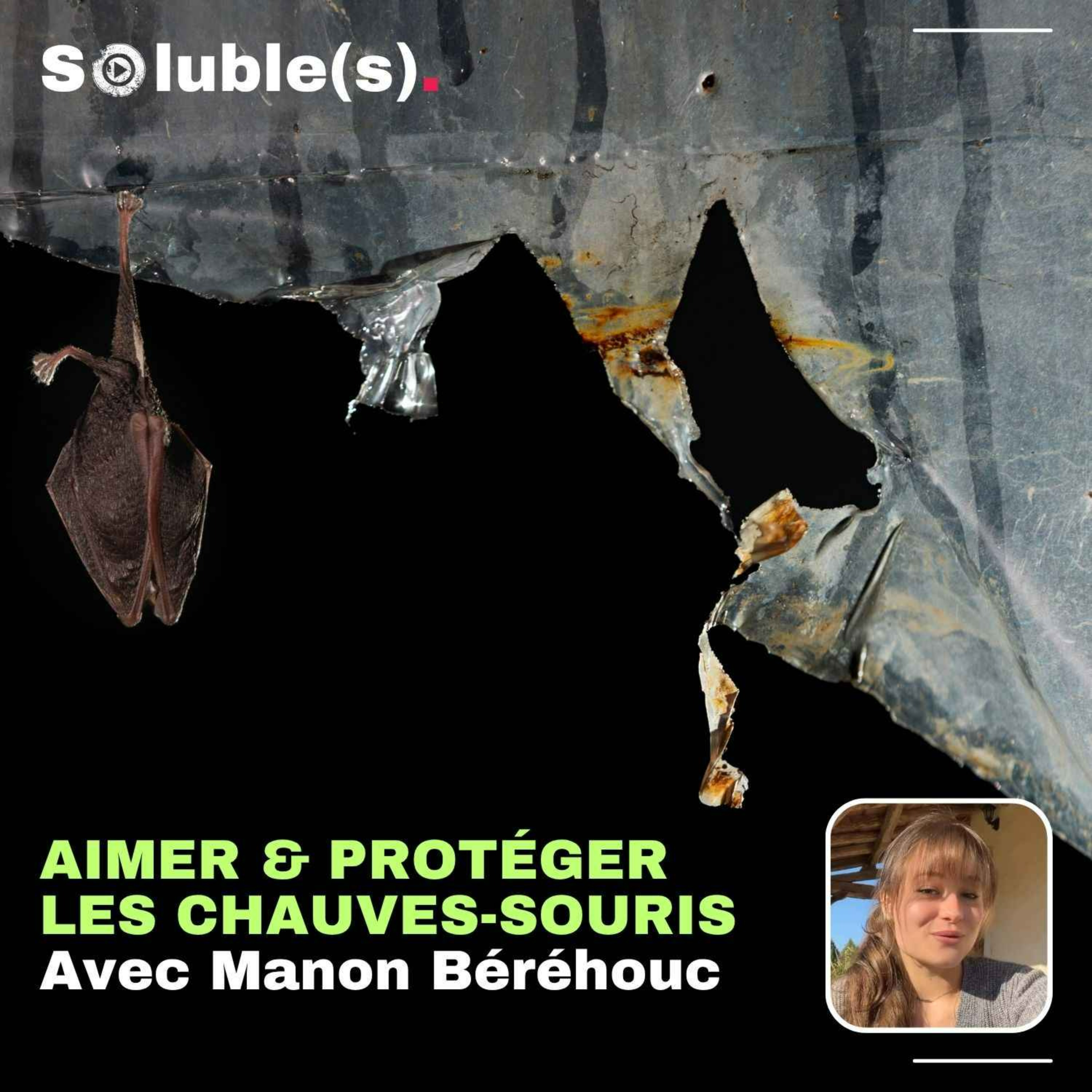 Soluble(s) | Actu, Ecologie, Société & Solutions